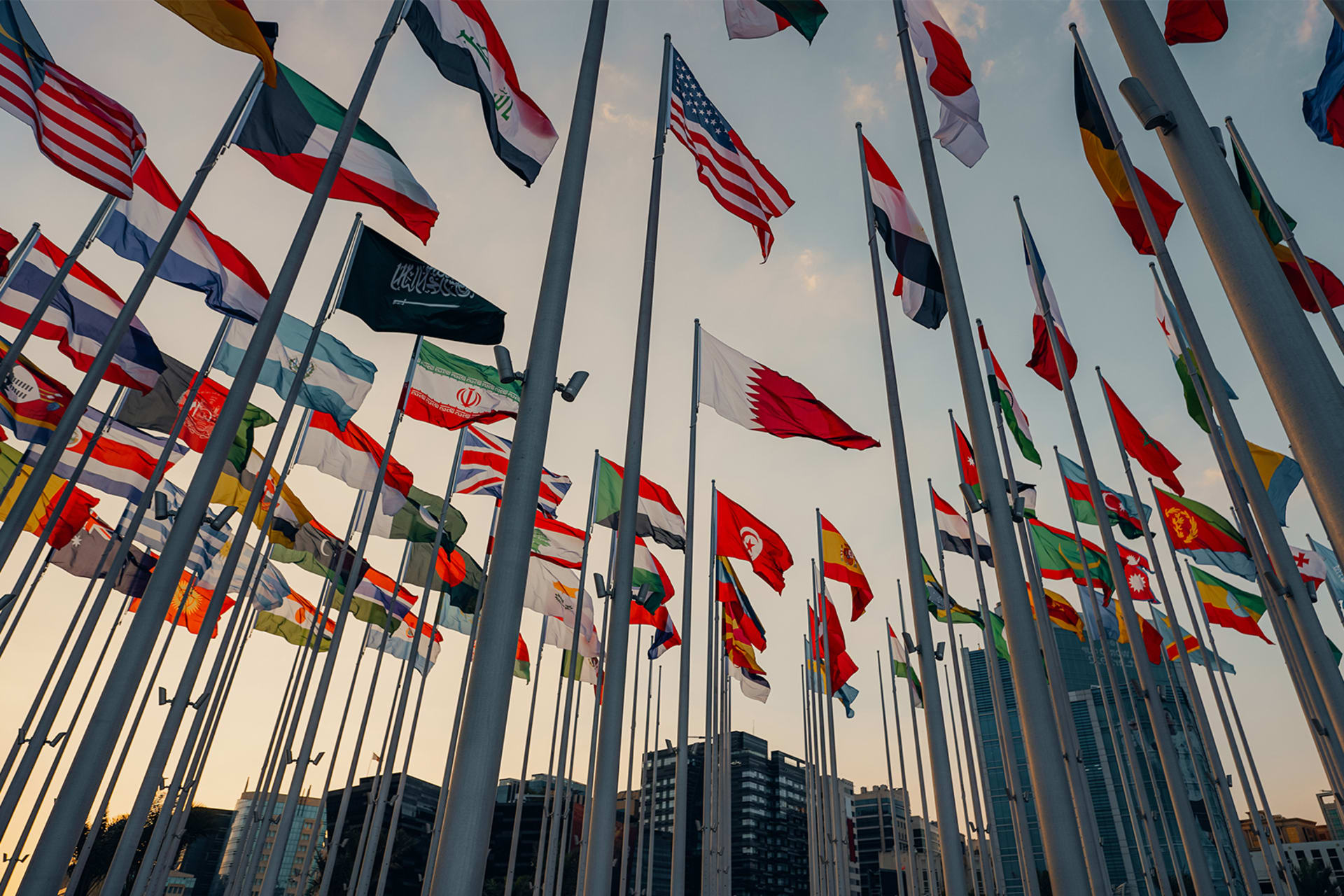 A low angle of international flags blowing in the wind at sunset in Qatar.