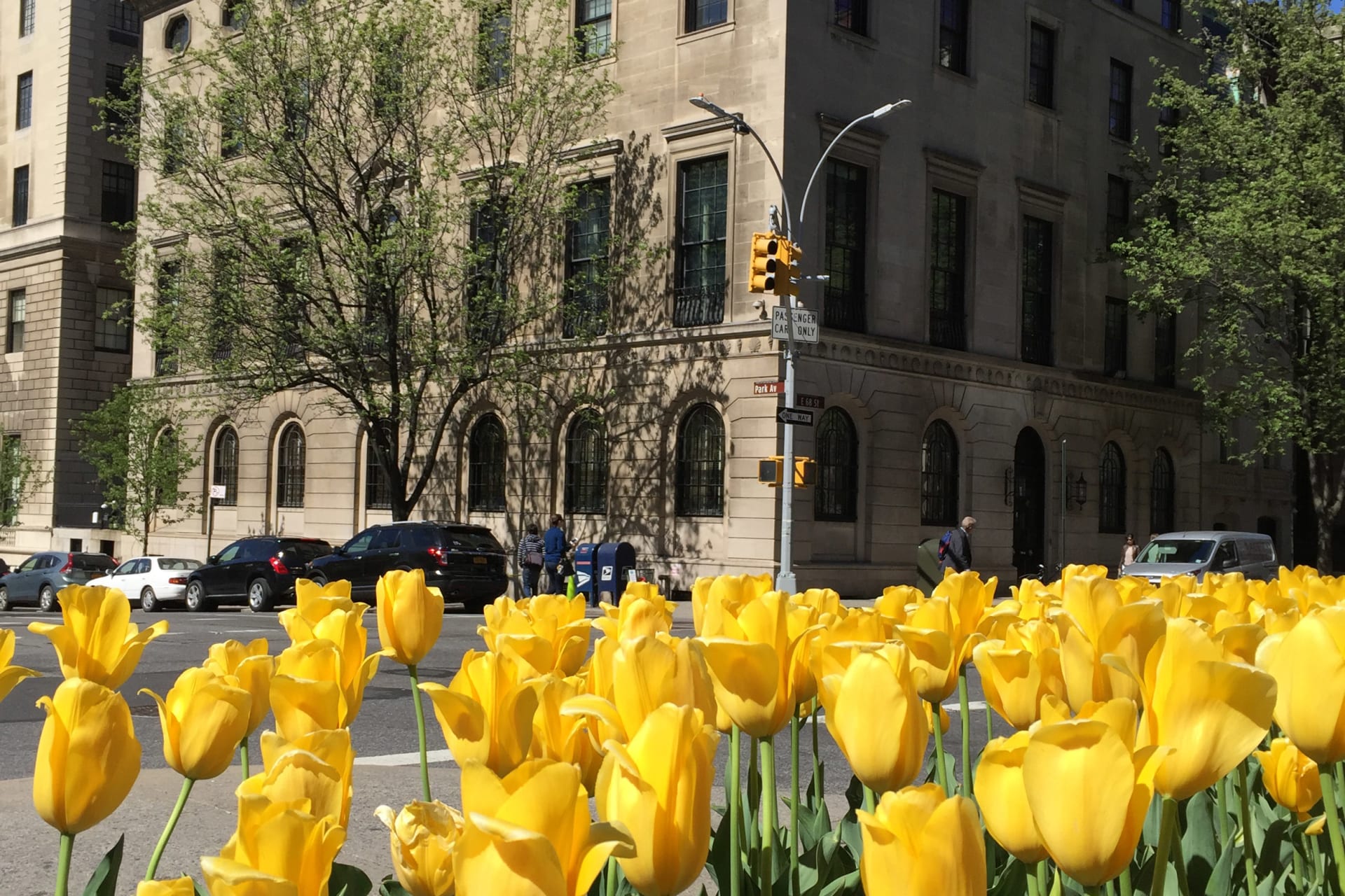 Pratt House Spring 2016