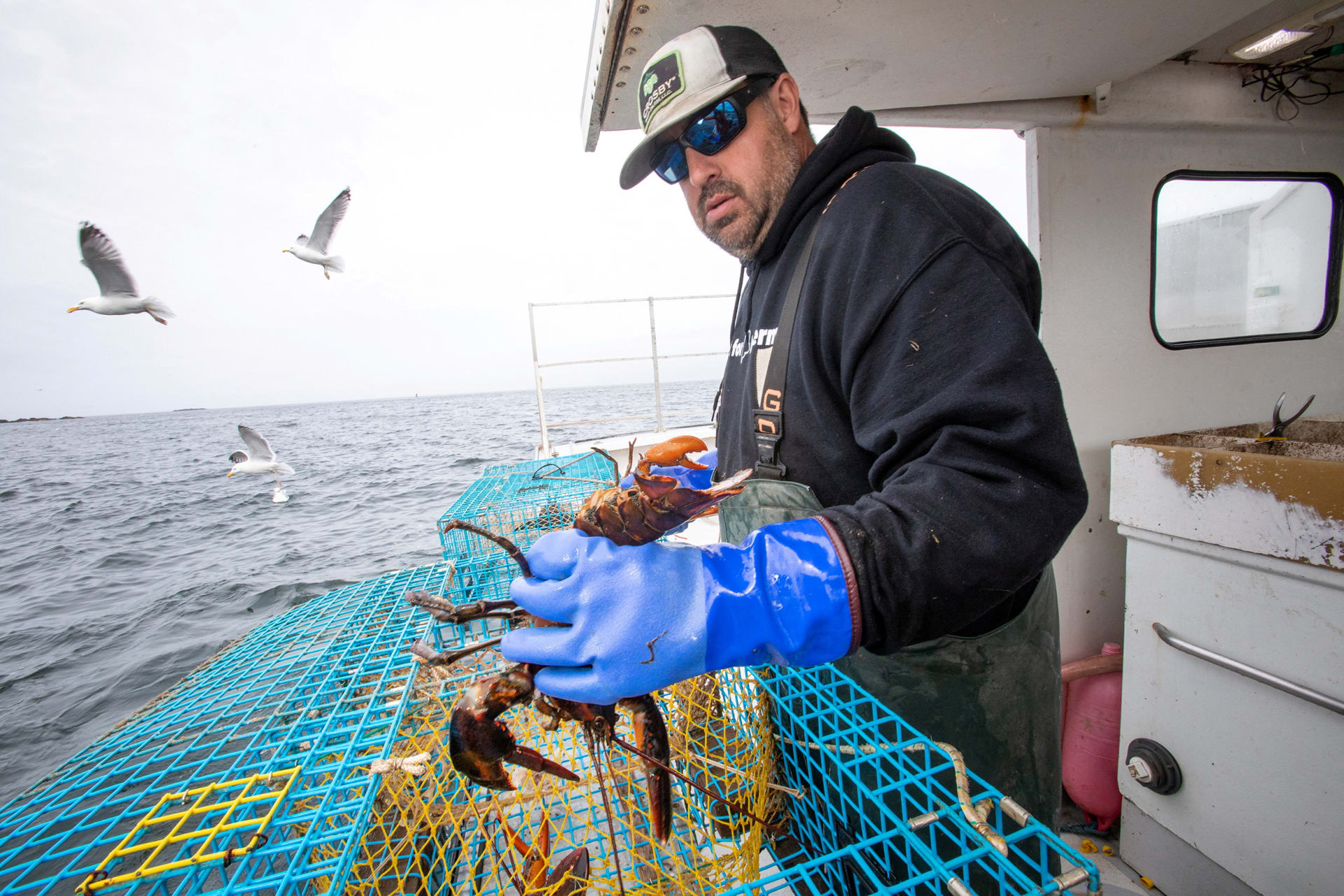 <p>Matt Weber, lobsterman on Monhegan Island, pulls and sets traps ten miles off the coast of Maine, U.S., May 20, 2023</p>
