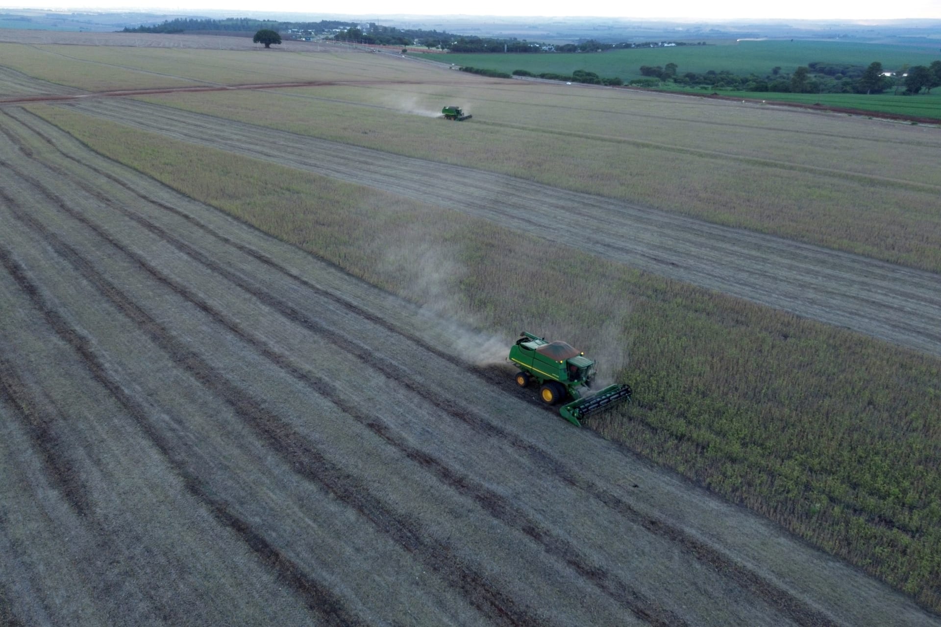 <p>Farmers harvest soybeans on a farm in Maringa in Parana state, Brazil, March 3, 2025.  </p>
