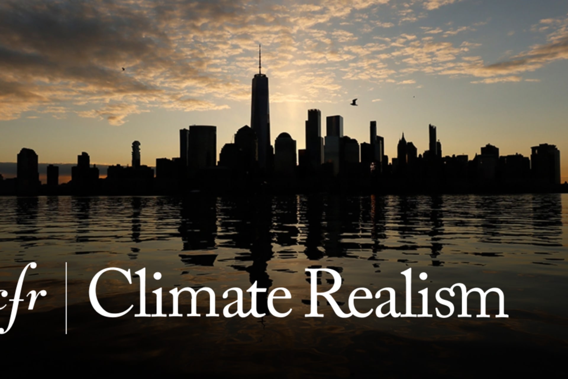 Climate Realism Logo