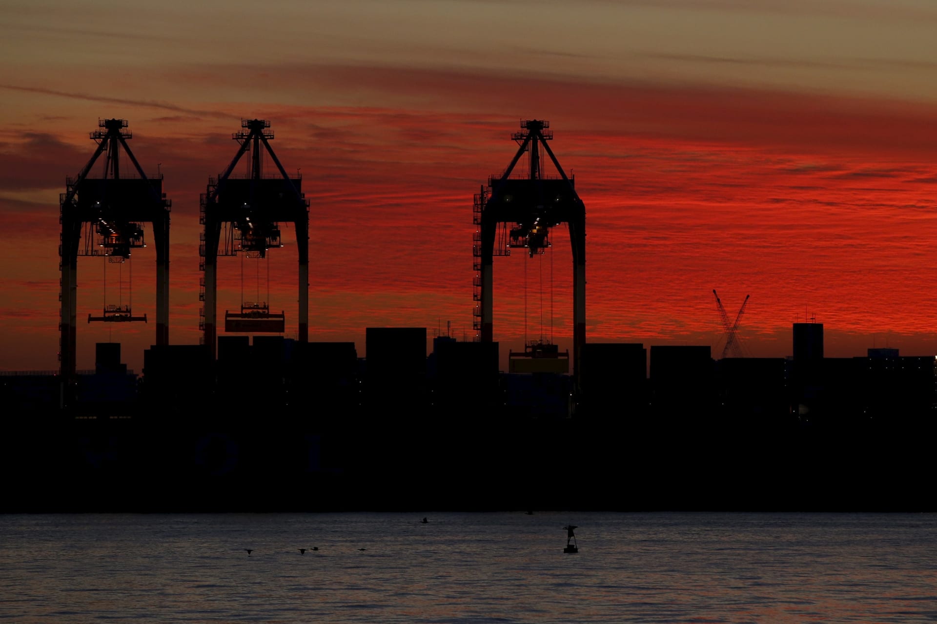 <p>Cranes are seen during sunset at a port in Tokyo, Japan, December 9, 2015. Picture taken December 9, 2015</p>
