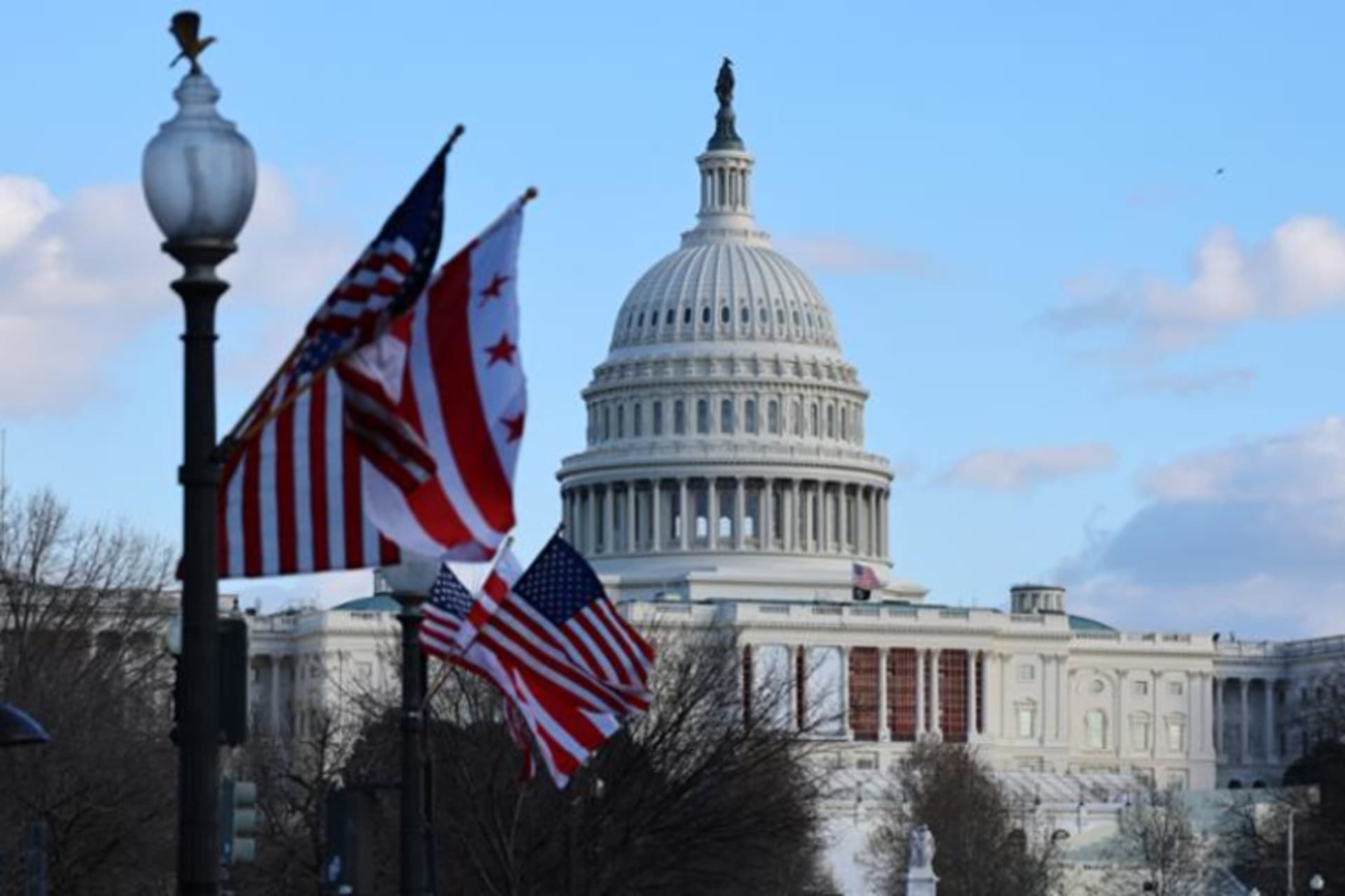 <p>Flags in front of the U.S. Capitol  on January 4, 2025.</p>
