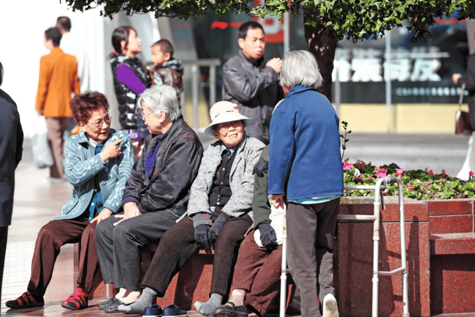 <p>A group of elderly pensioners outside on a bench.</p>
