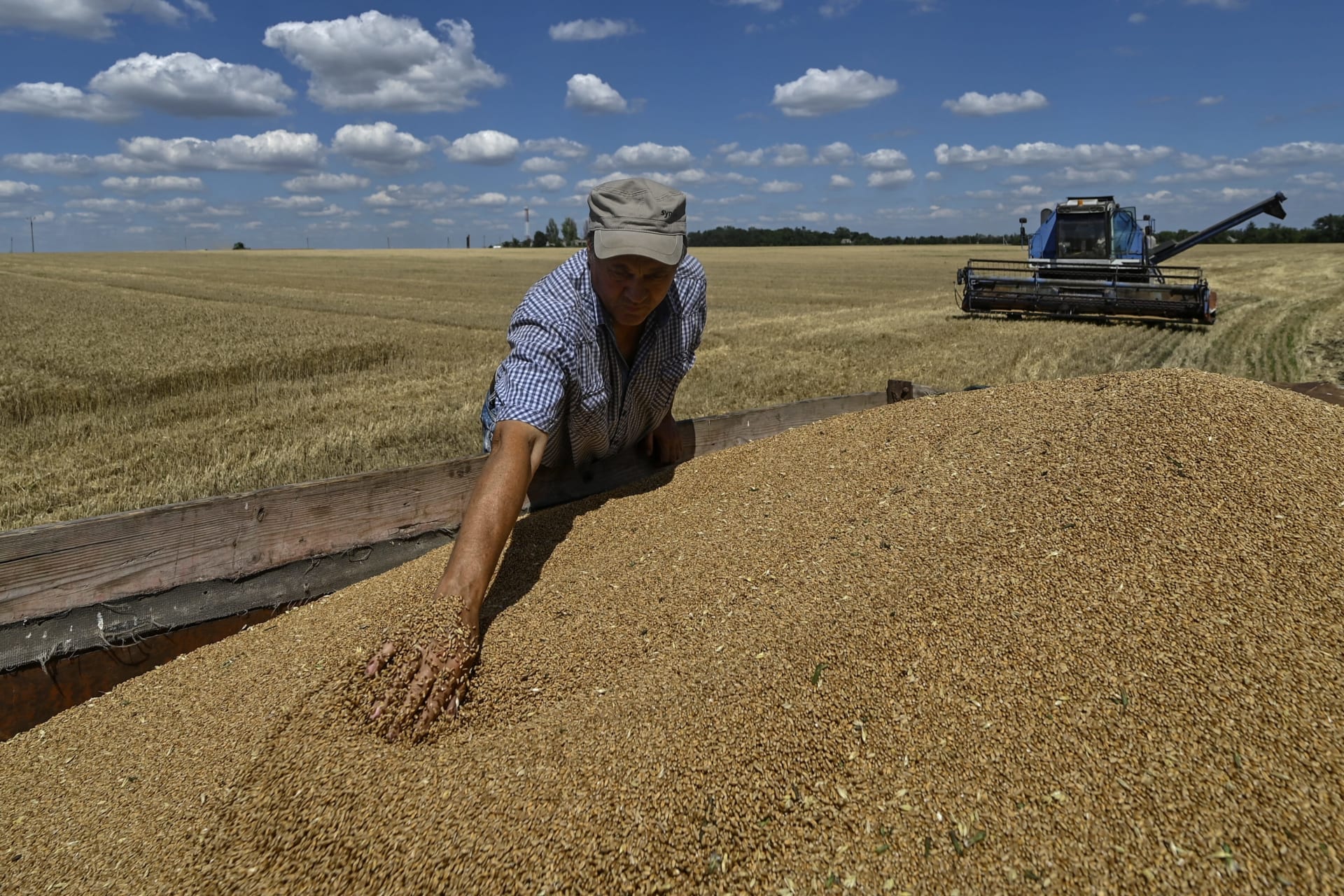 <p>An agricultural company head Mykolaiv Havrylenko checks wheat inside in a truck during a harvesting in a field, amid Russia’s attack on Ukraine, in Zaporizhzhia region, Ukraine June 29, 2024.</p>
