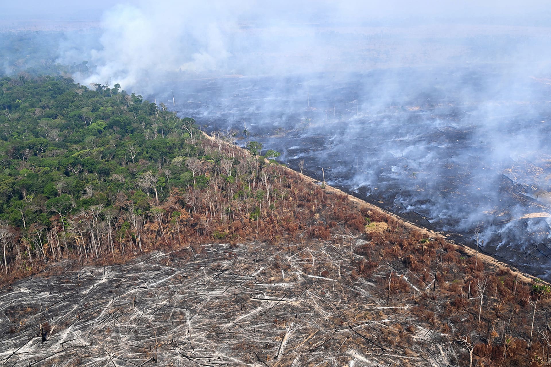 <p>An aerial view of a section of the forest destroyed by illegal fires in Amazonas State, Brazil.</p>
