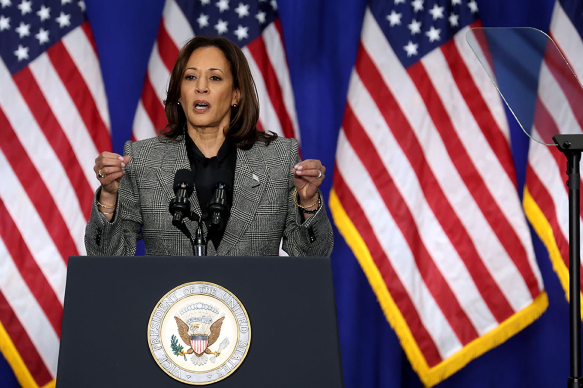 <p>Vice President Kamala Harris speaks at a rally in Wisconsin, in January 2024.</p>
