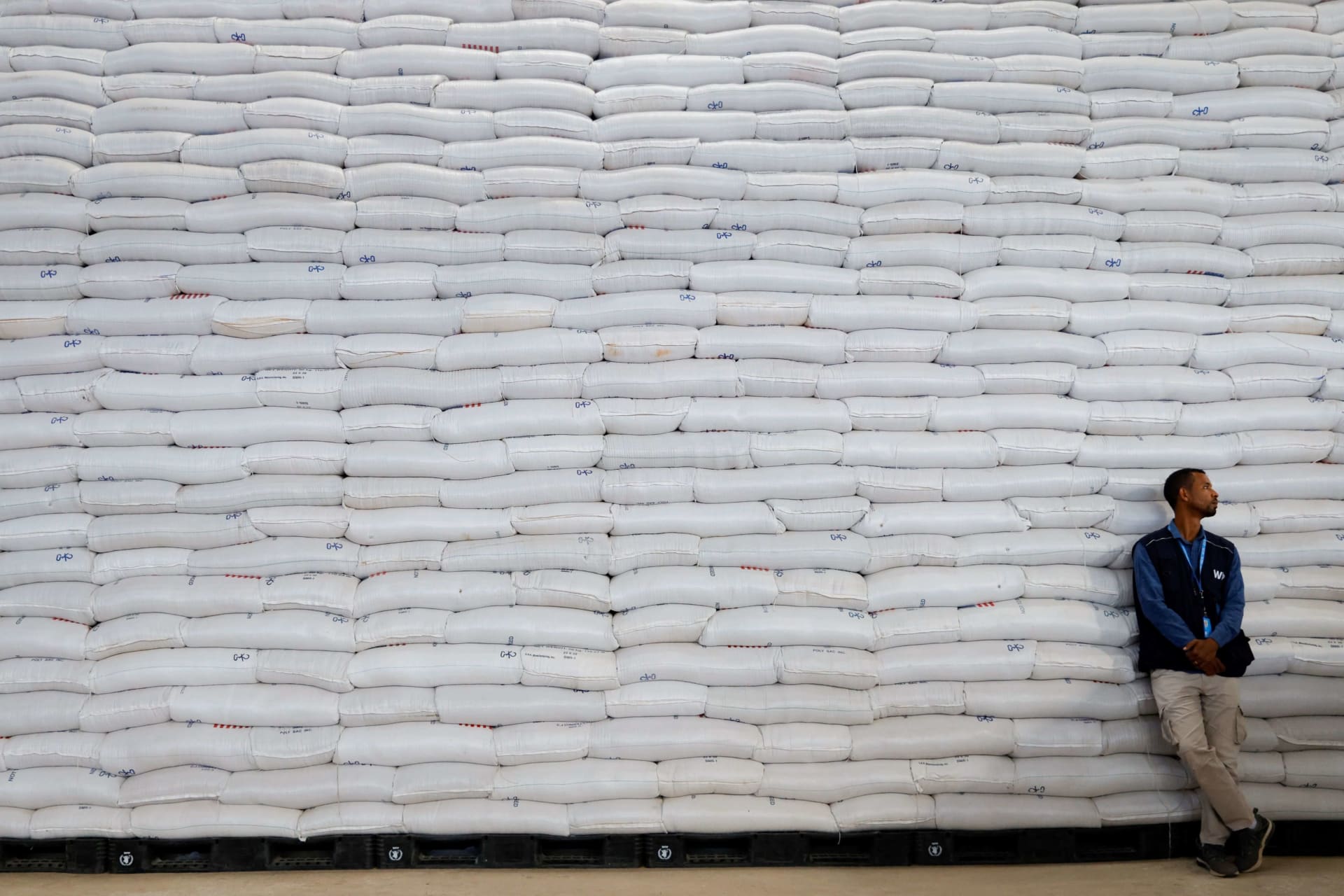 <p>A worker stands by bags of wheat during an official visit to the World Food Program (WFP) warehouse in Adama, Ethiopia on January 12, 2023.</p>
