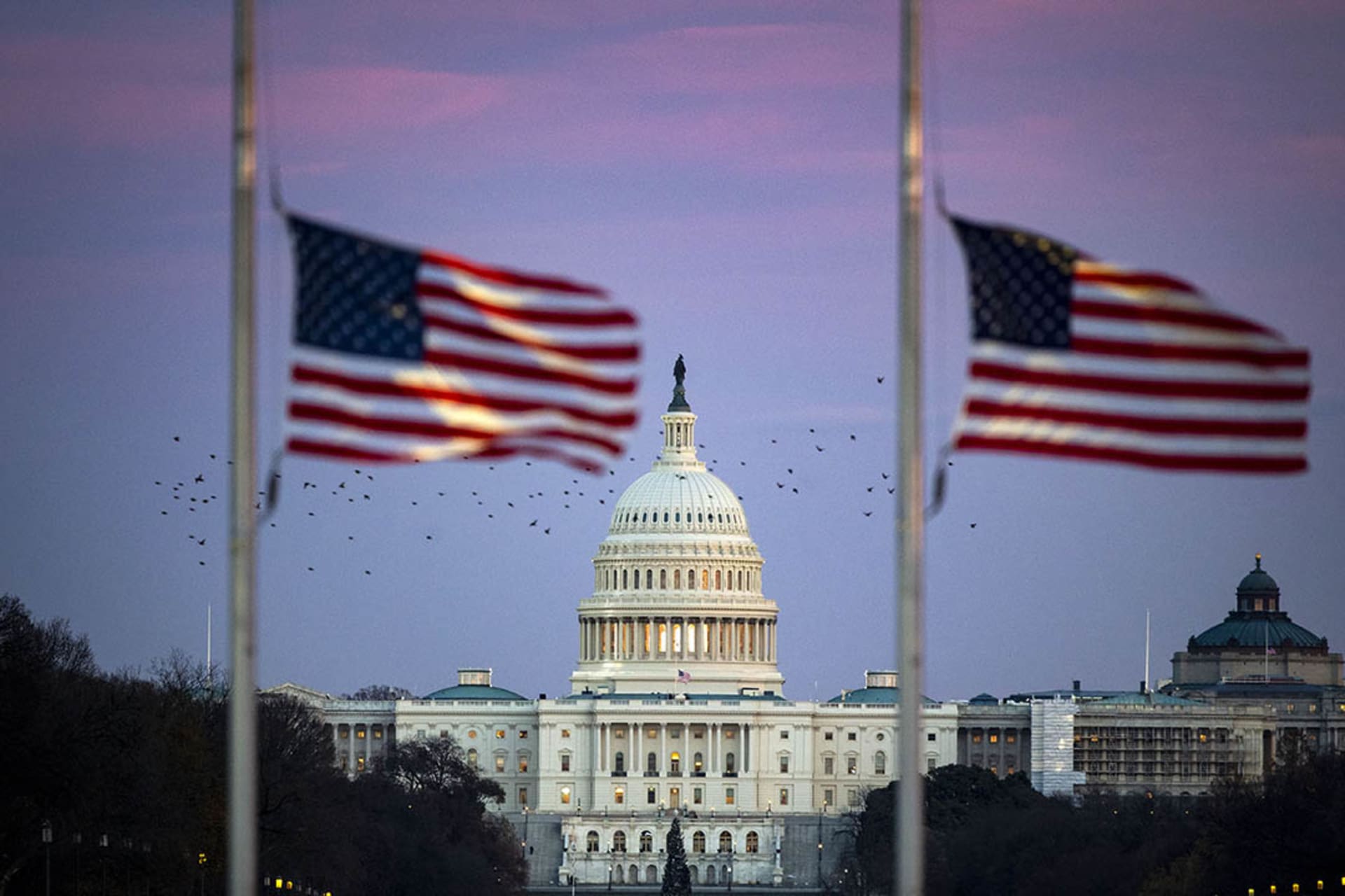 <p>Flags flying at half-staff near the U.S. Capitol in Washington, D.C.</p>
