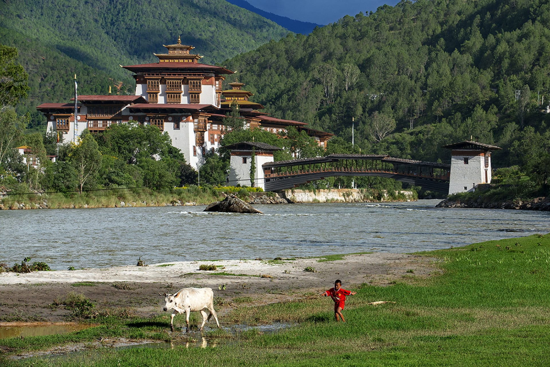 <p>Forests cover Bhutan, which has protected 50 percent of its land.</p>
