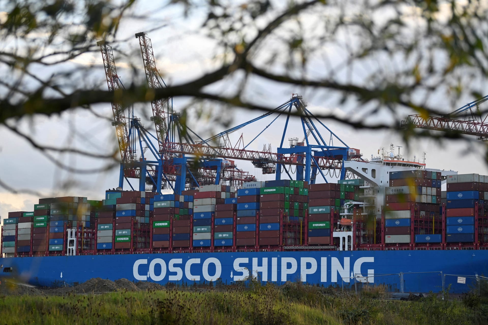 <p>Cargo ship ‘Cosco Shipping Gemini’ of Chinese shipping company ‘Cosco’ is loaded at the container terminal ‘Tollerort’ in the port in Hamburg, Germany, October 25, 2022.</p>
