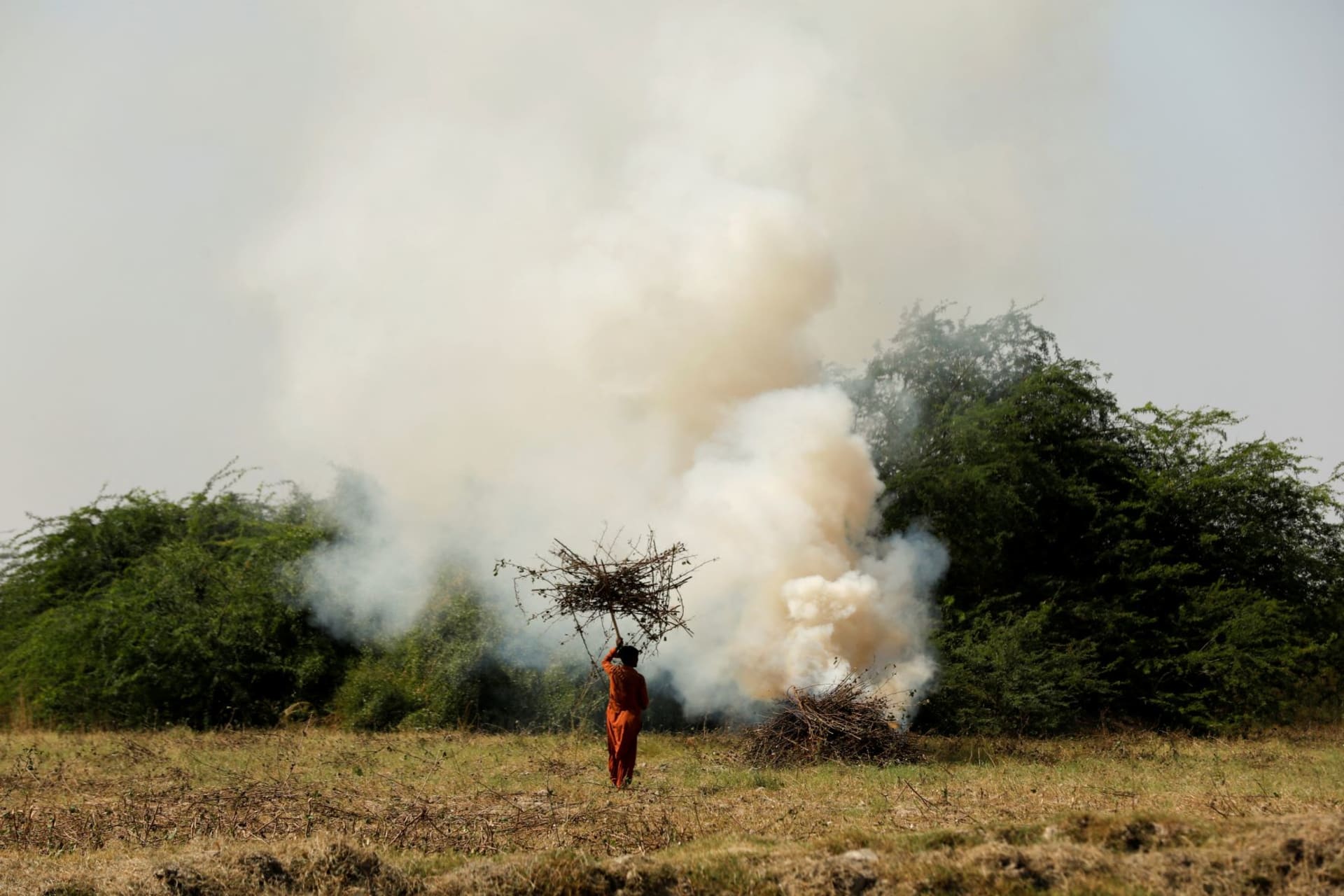 <p>A worker burns cotton plants damaged by rain water and floods to prepare the soil for the next crop.</p>
