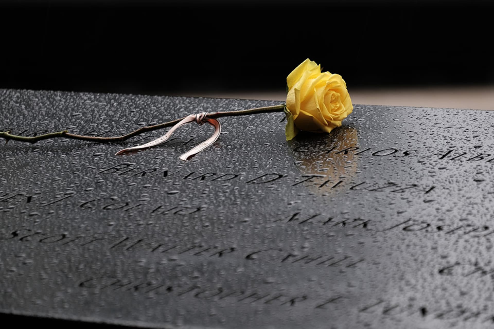 <p>A flower placed over names at the September 11th Memorial on September 9, 2021 in New York City</p>
