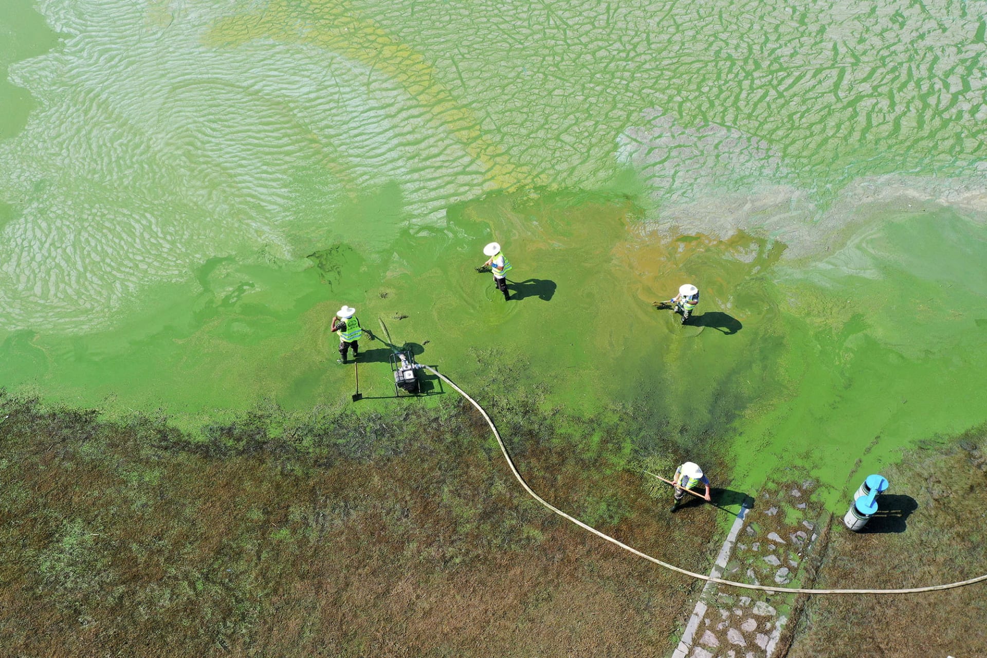 <p>Workers try to clear algae from a polluted lake in Anhui Province.</p>
