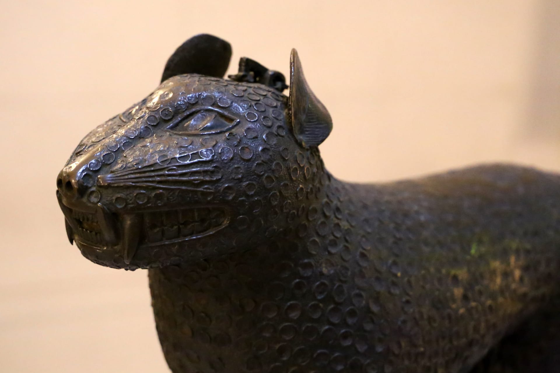 <p>A close-up photo of a Benin Bronze resembling a leopard on display in the Bode-Museum in Berlin, Germany.</p>
