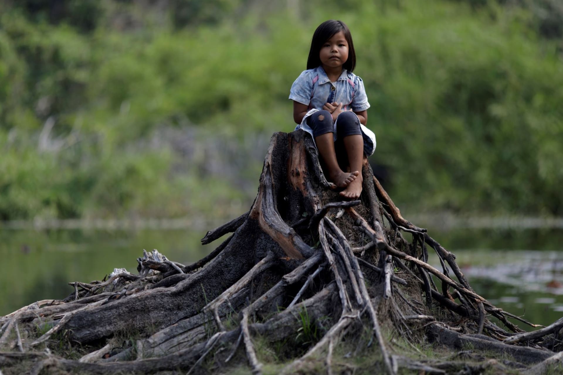 <p>An Indigenous girl from the Parintintin tribe sits on a cut tree trunk in Traira village near Humaita, Amazonas State, Brazil, on August 16, 2019. </p>
