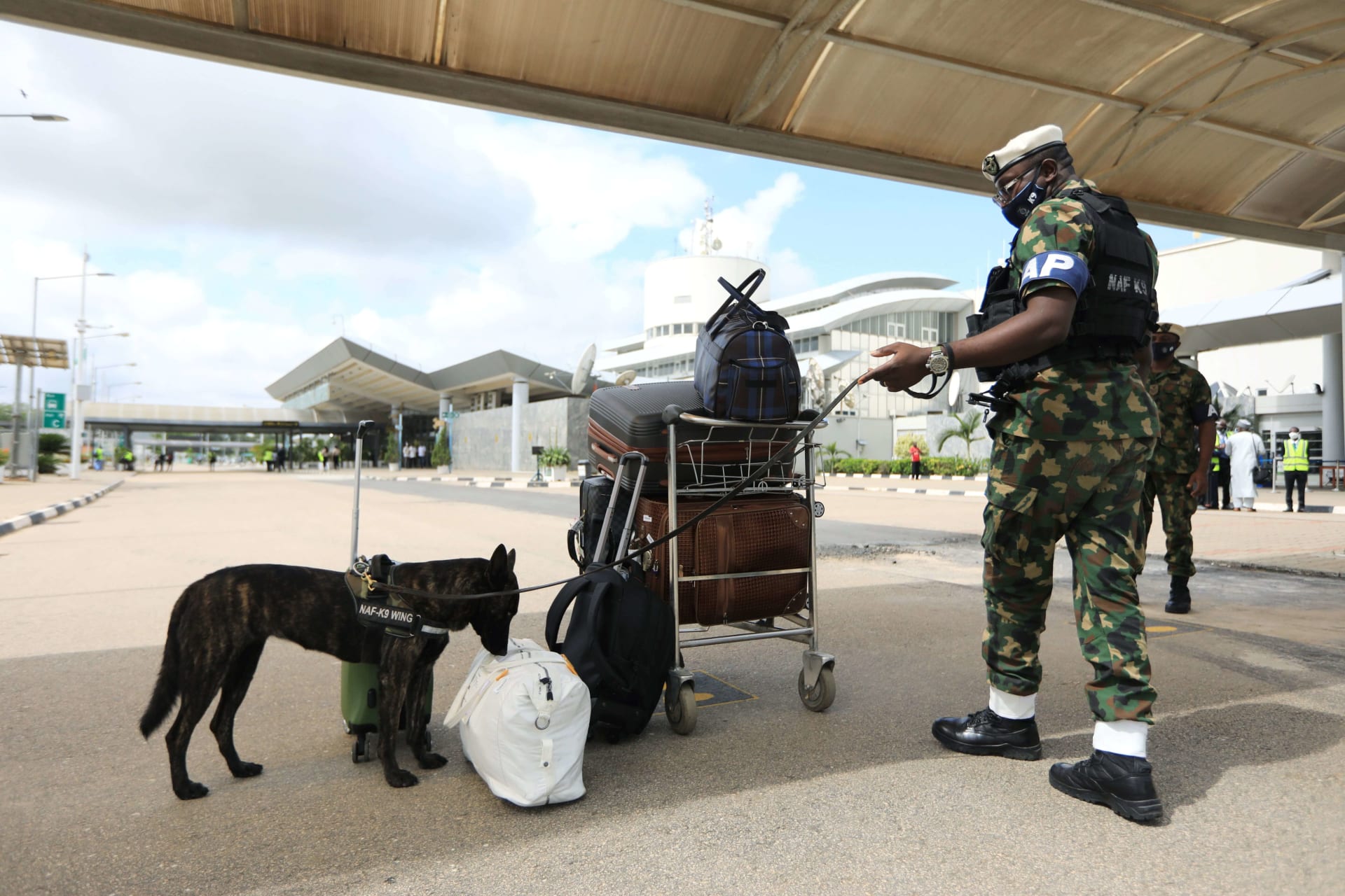 <p>A Nigerian Air Force dog sniffs a bag at the domestic wing of the Nnamdi Azikiwe International Airport in Abuja, Nigeria on July 8, 2020.</p>
