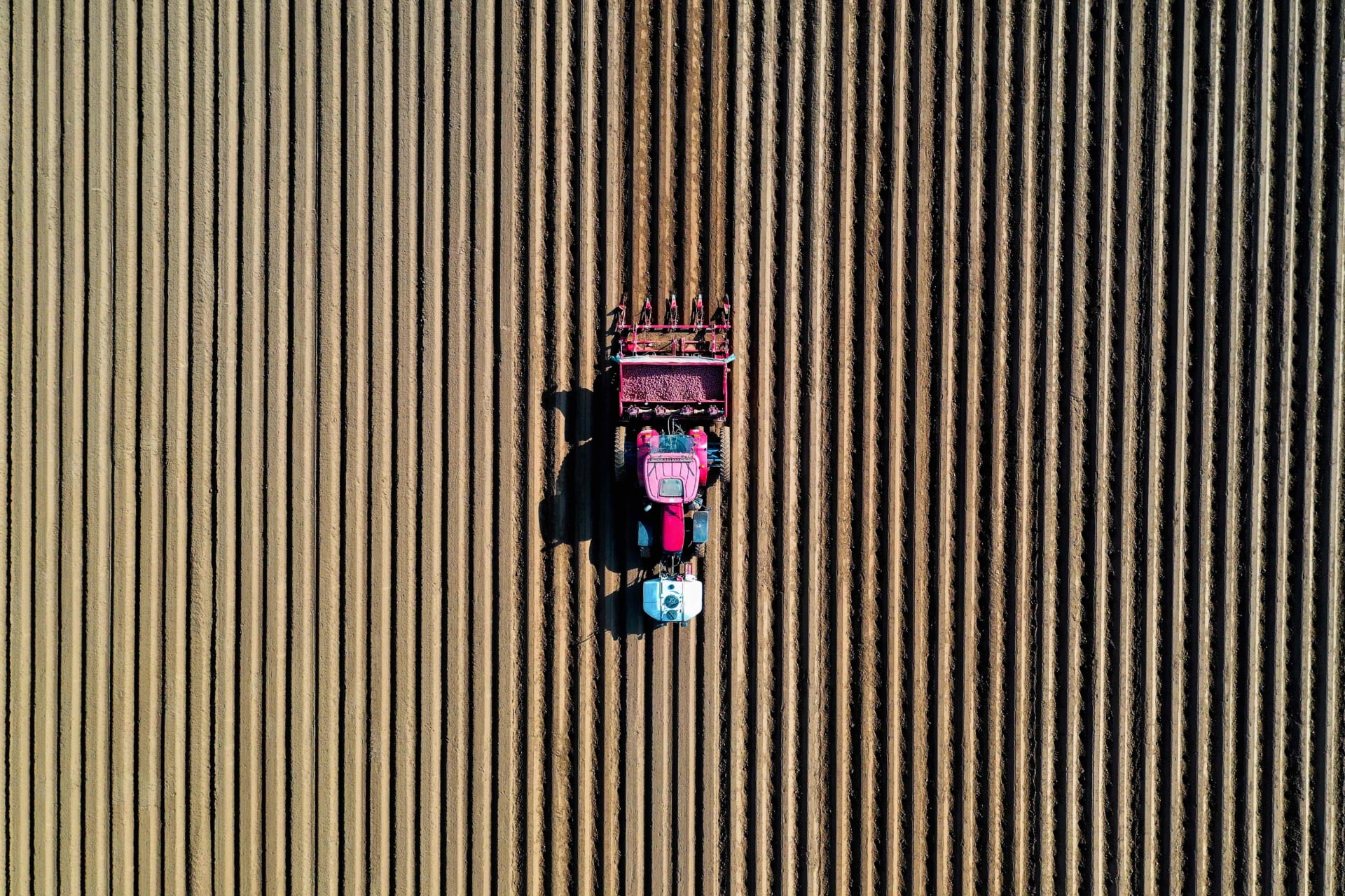 <p>A farmer drives a tractor in his field while planting potatoes.</p>
