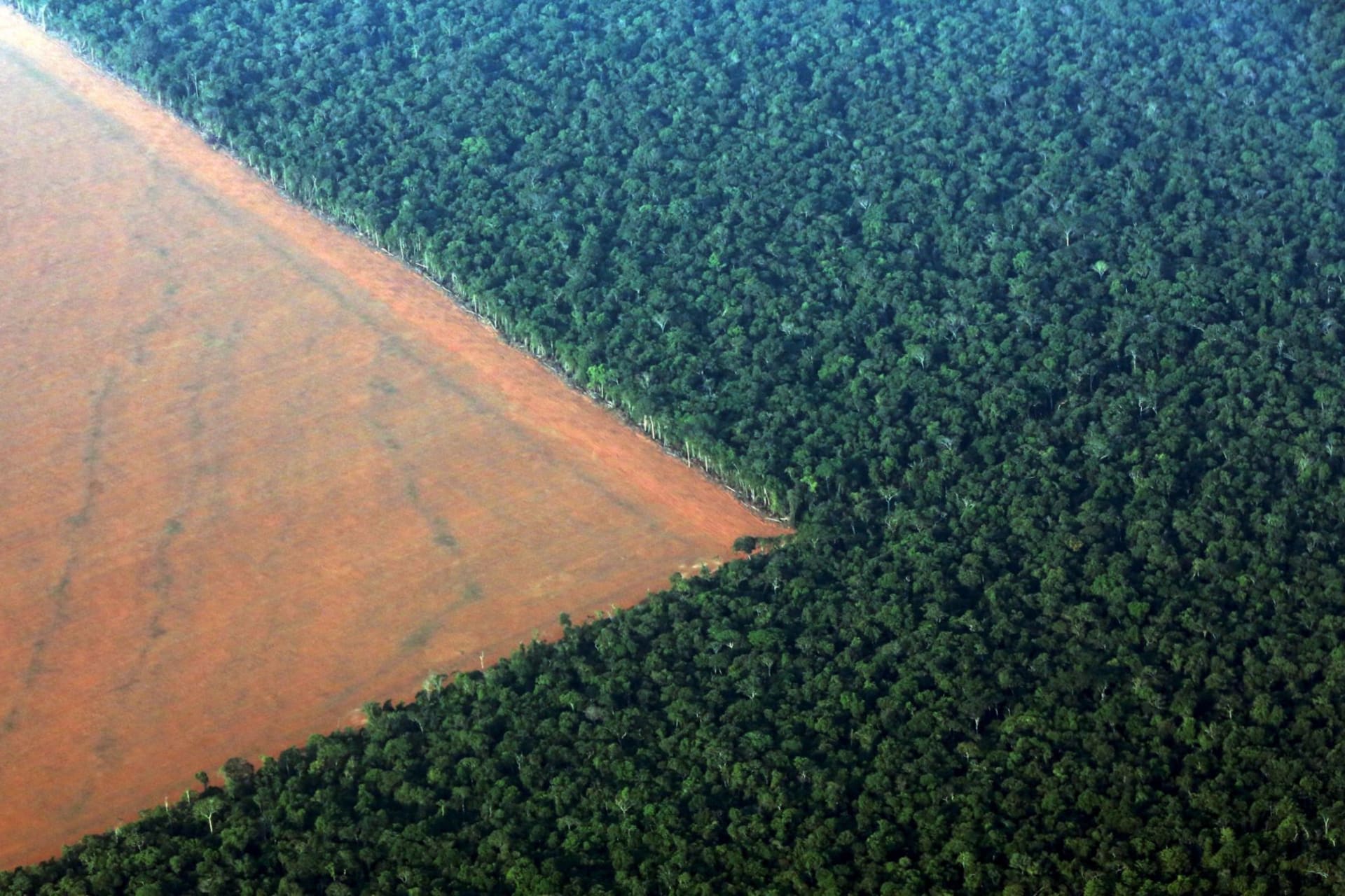 <p>The Amazon rain forest, bordered by deforested land prepared for the planting of soybeans, is pictured in this aerial photo taken over Mato Grosso state in western Brazil on October 4, 2015. </p>
