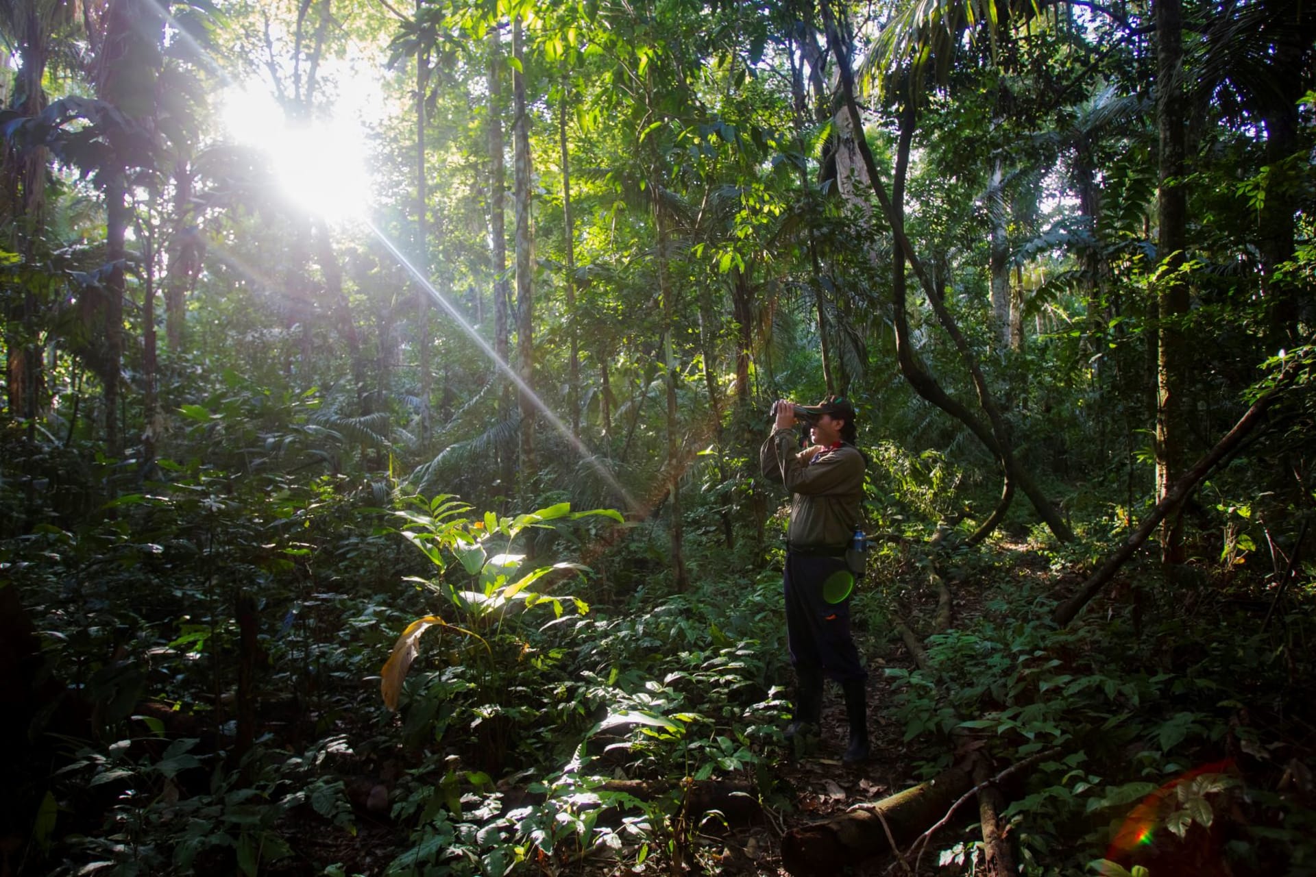<p>A tourist guide at the Manu National Park in Peru’s southern Amazon region of Madre de Dios on July 17, 2014. </p>
