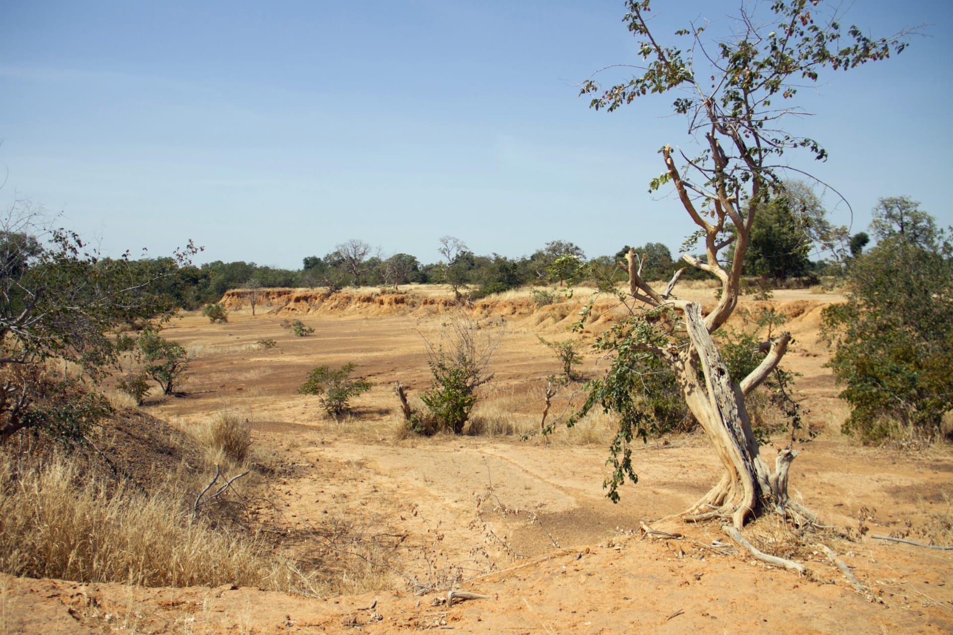 <p>Parched land is pictured around the Lake Wegnia, in Sahel region of Koulikoro, Mali on November 22, 2019.</p>
