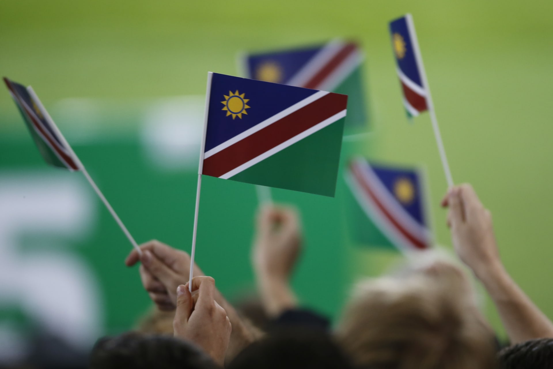 <p>Namibia fans with flags before the New Zealand v Namibia match, at the IRB Rugby World Cup in 2015.</p>
