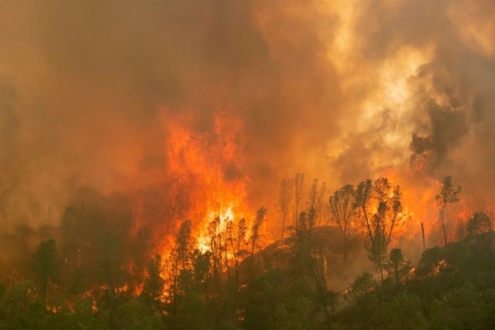 <p>The LNU Lightning Complex Fire engulfs a ridge line near Aetna Springs, California on August 23, 2020. </p>
