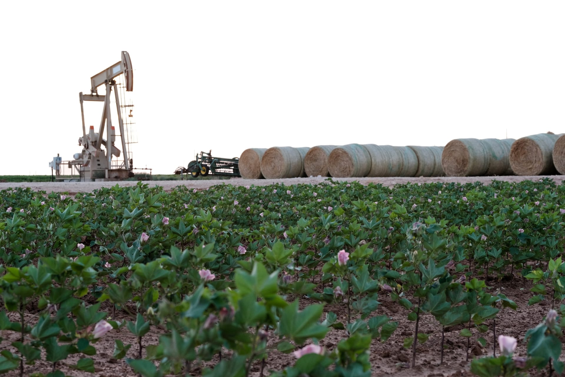 <p>Oil pump jacks work at sunset near Midland, Texas, U.S. August 21, 2019. Picture taken August 21, 2019.</p>
