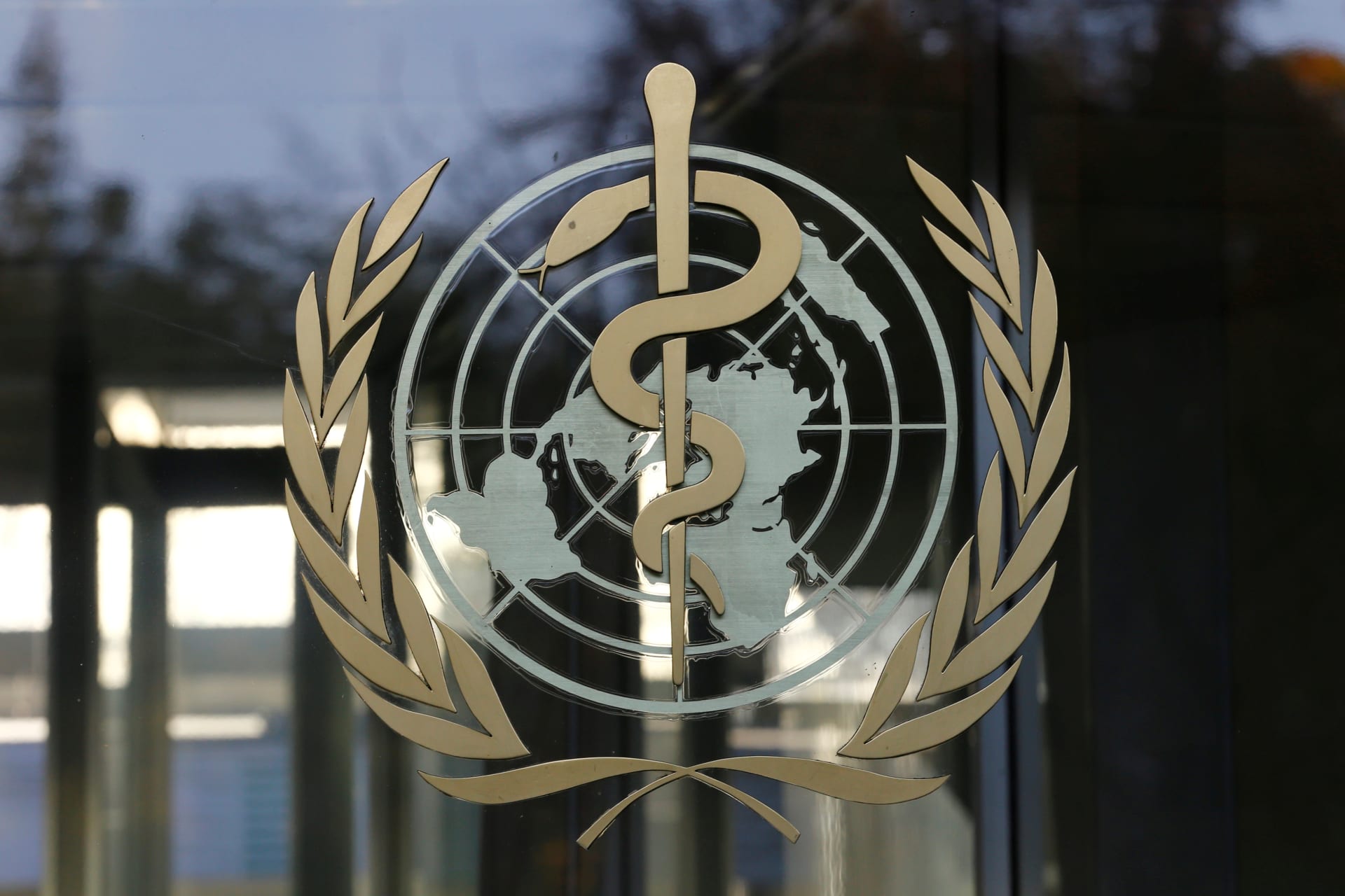 <p>A logo is pictured on the World Health Organization (WHO) headquarters.</p>

