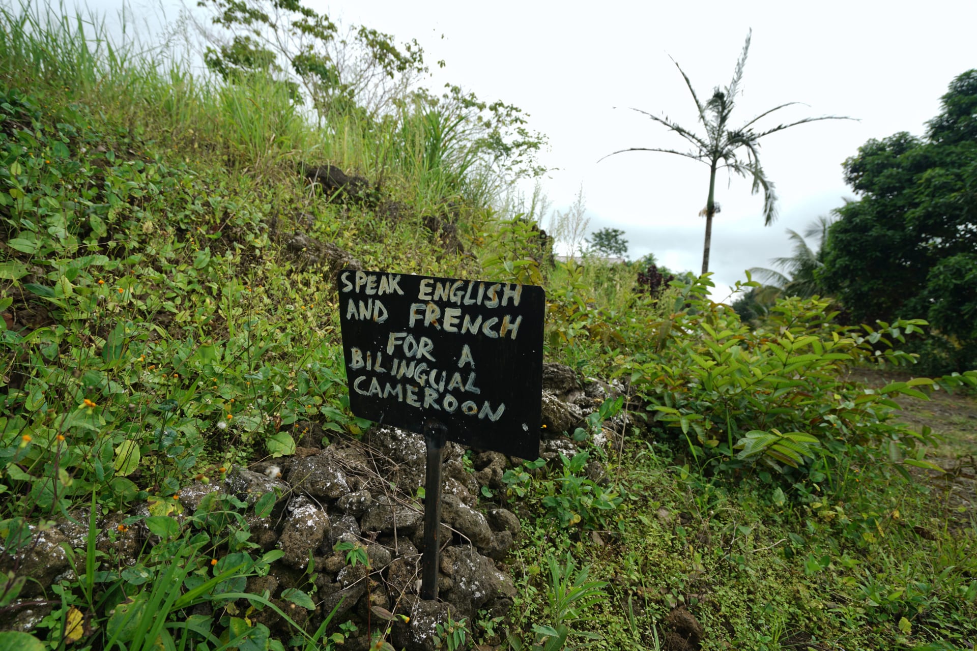 <p>A sign saying “Speak English or French for a bilingual Cameroon,” outside a now abandoned school in rural southwest Cameroon, on May 22, 2019.</p>

