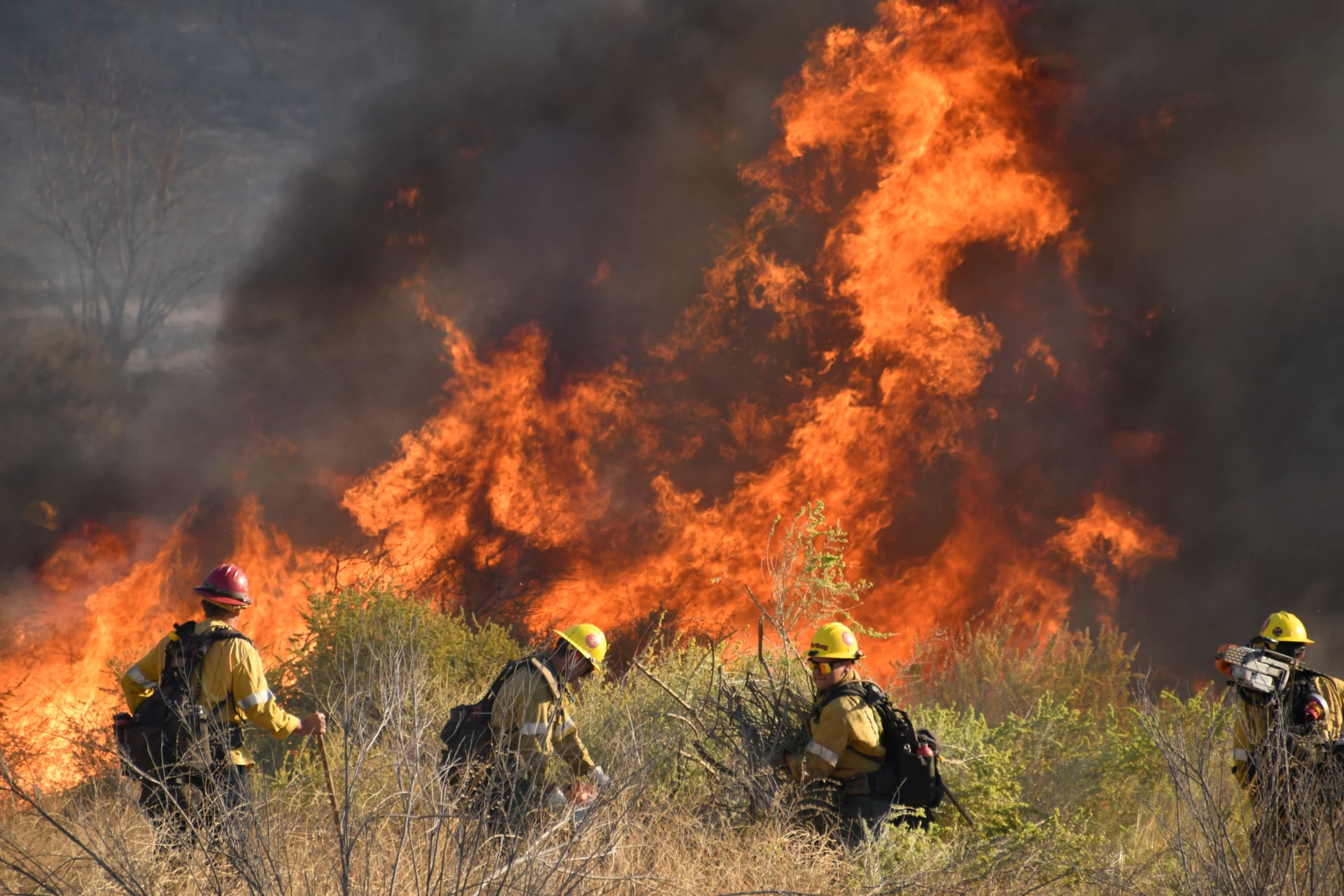 <p>Firefighters battle a wildfire north of Los Angeles on October 25. </p>