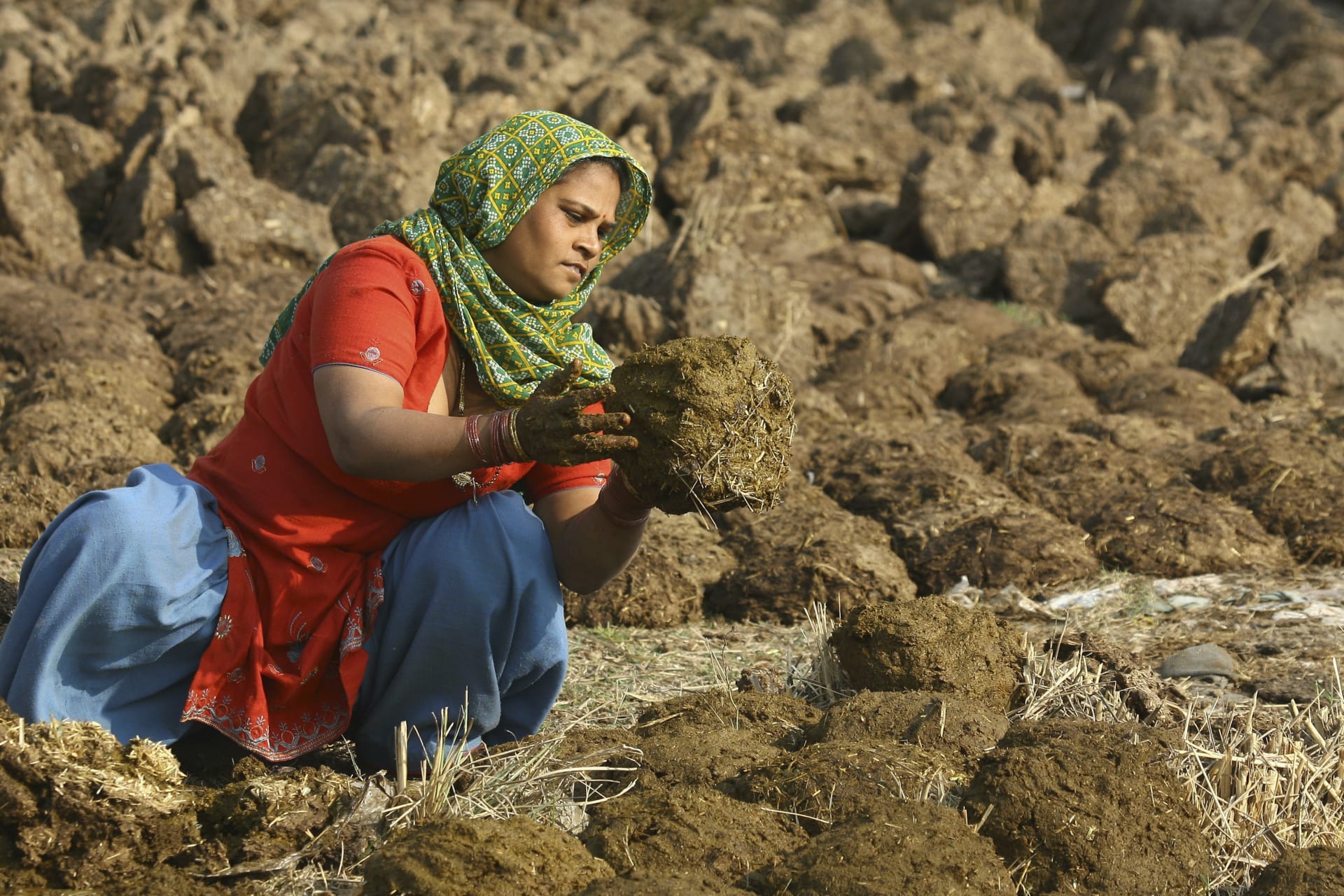 <p>A villager makes cow dung cakes used as cooking fuel at Maloya village on the outskirts of the northern Indian city of Chandigarh January 31, 2011. </p>
