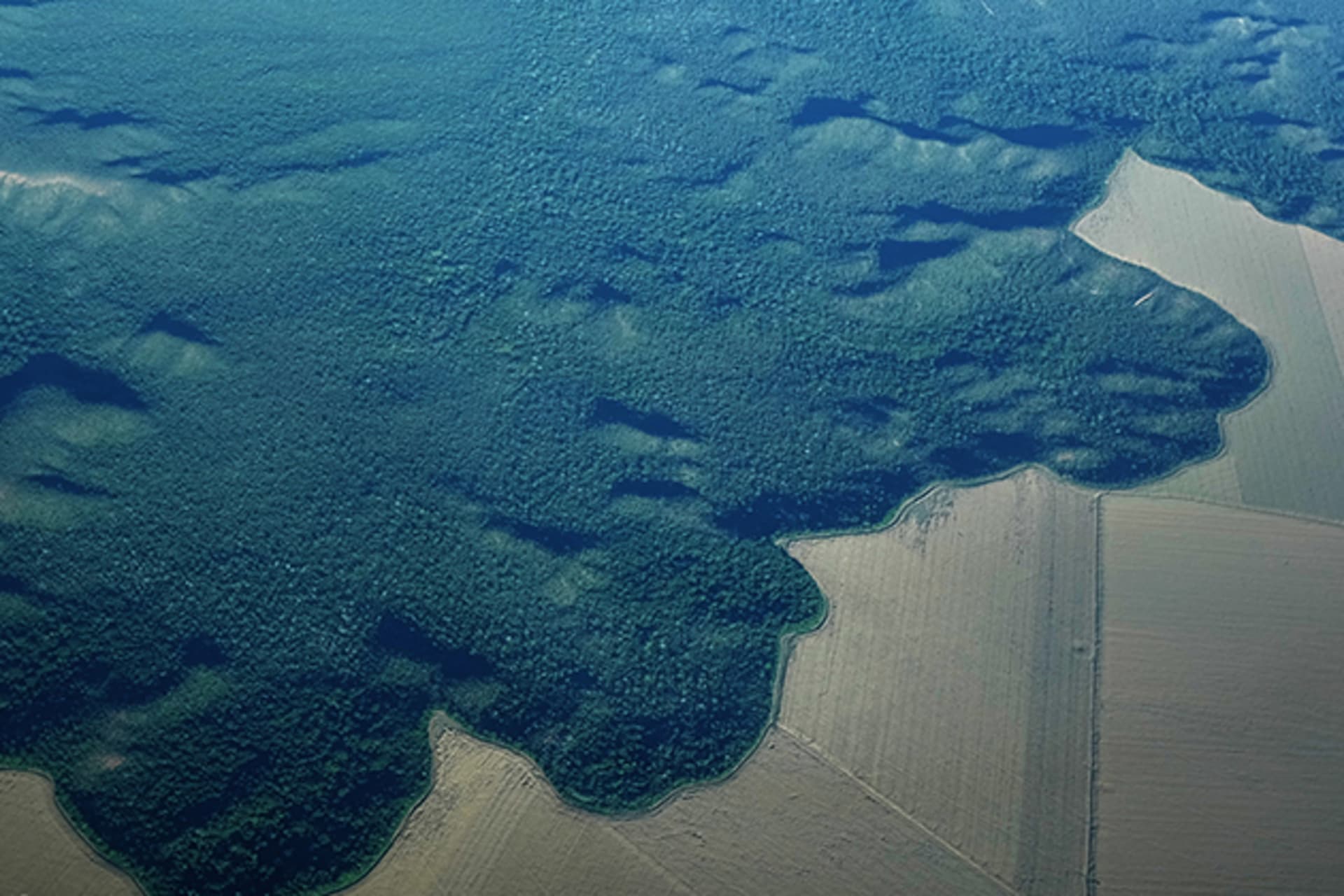 <p>The Amazon Rainforest gives way to farmland in Brazil’s northern Para state.</p>
