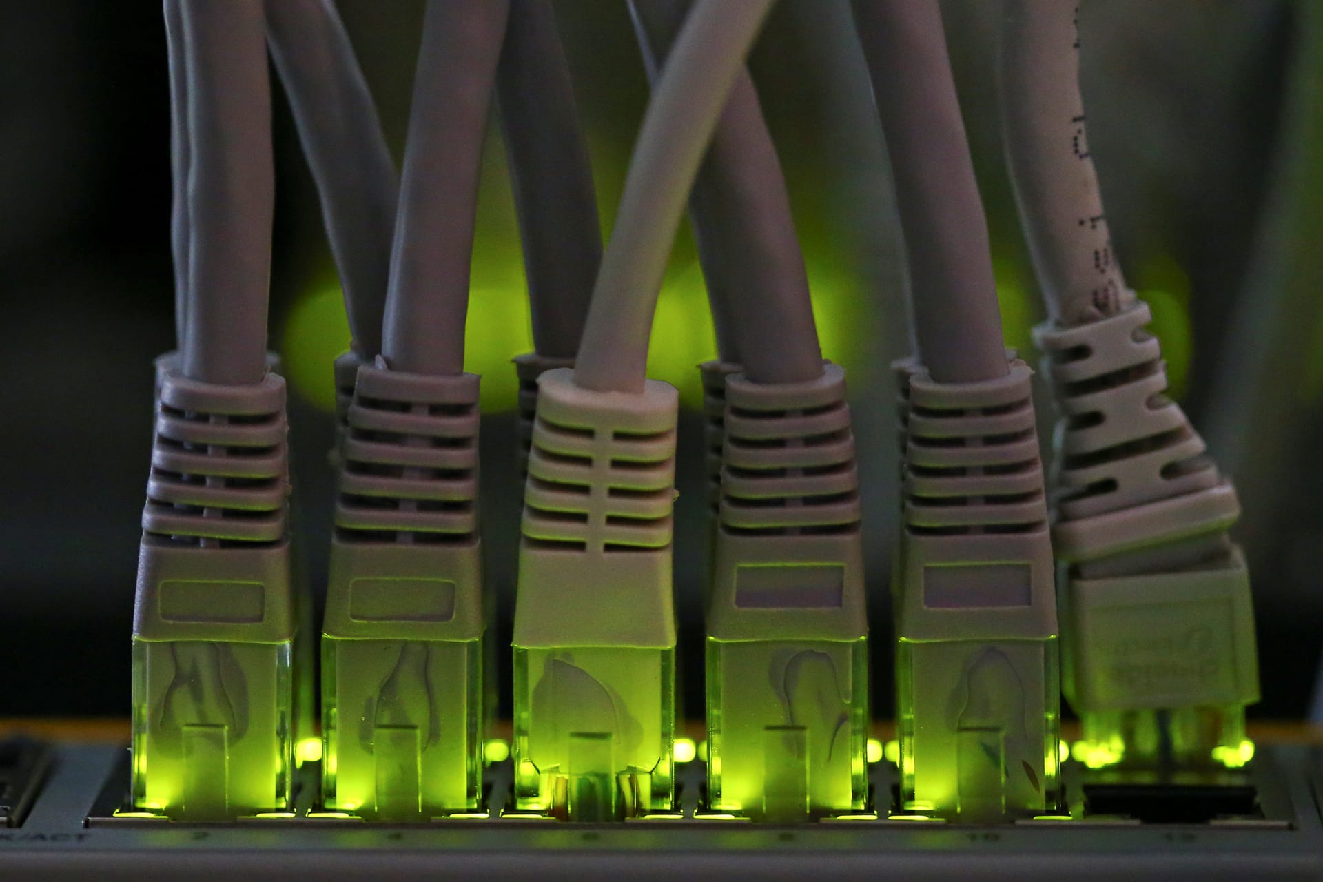 <p>LAN network cables plugged into a Bitcoin mining computer server are pictured in Bitminer Factory in Florence, Italy, April 6, 2018</p>
