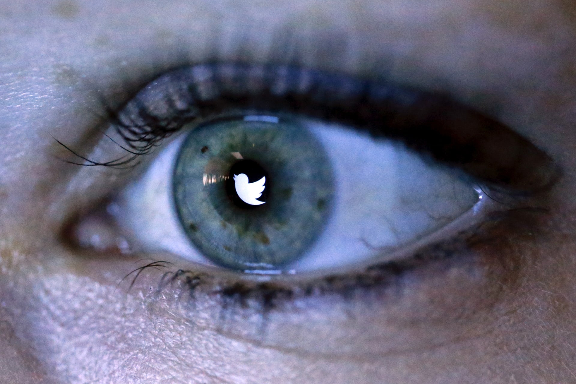 <p>An illustration picture shows the Twitter logo reflected in the eye of a woman in Berlin on November 7, 2013. </p>
