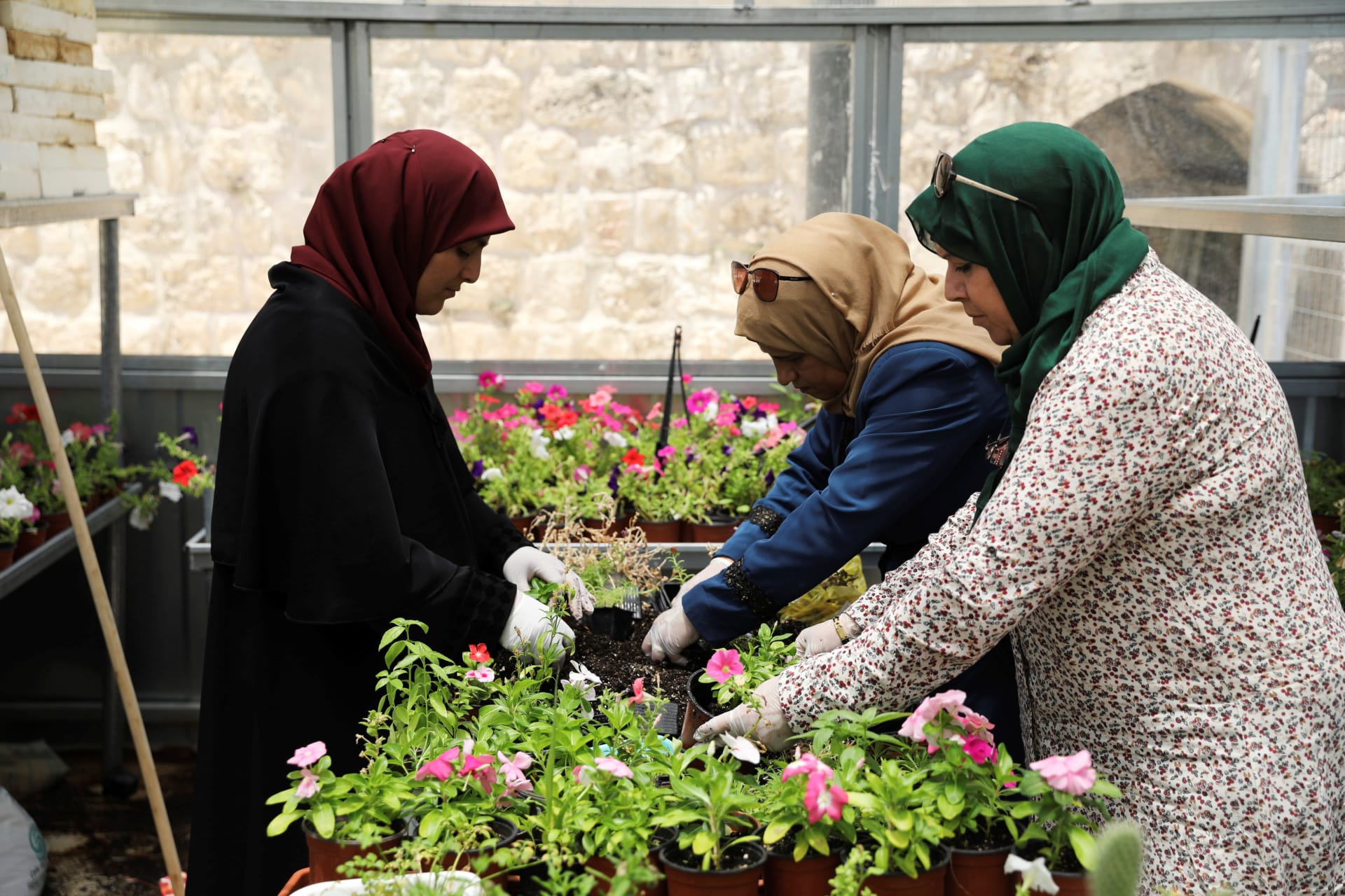 <p>Palestinian women trained in horticulture and business management as part of a business initiative aimed at helping them into the local workforce, work at their greenhouse business.</p>
