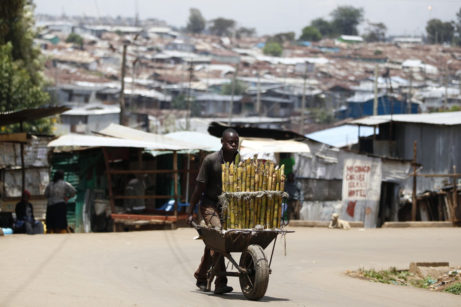 <p>A trader pushes wheelbarrow loaded with sugar-cane for sale along a street in Kibera slum, home to over 1 million people, in Kenya’s capital Nairobi, March 7, 2014. </p>
