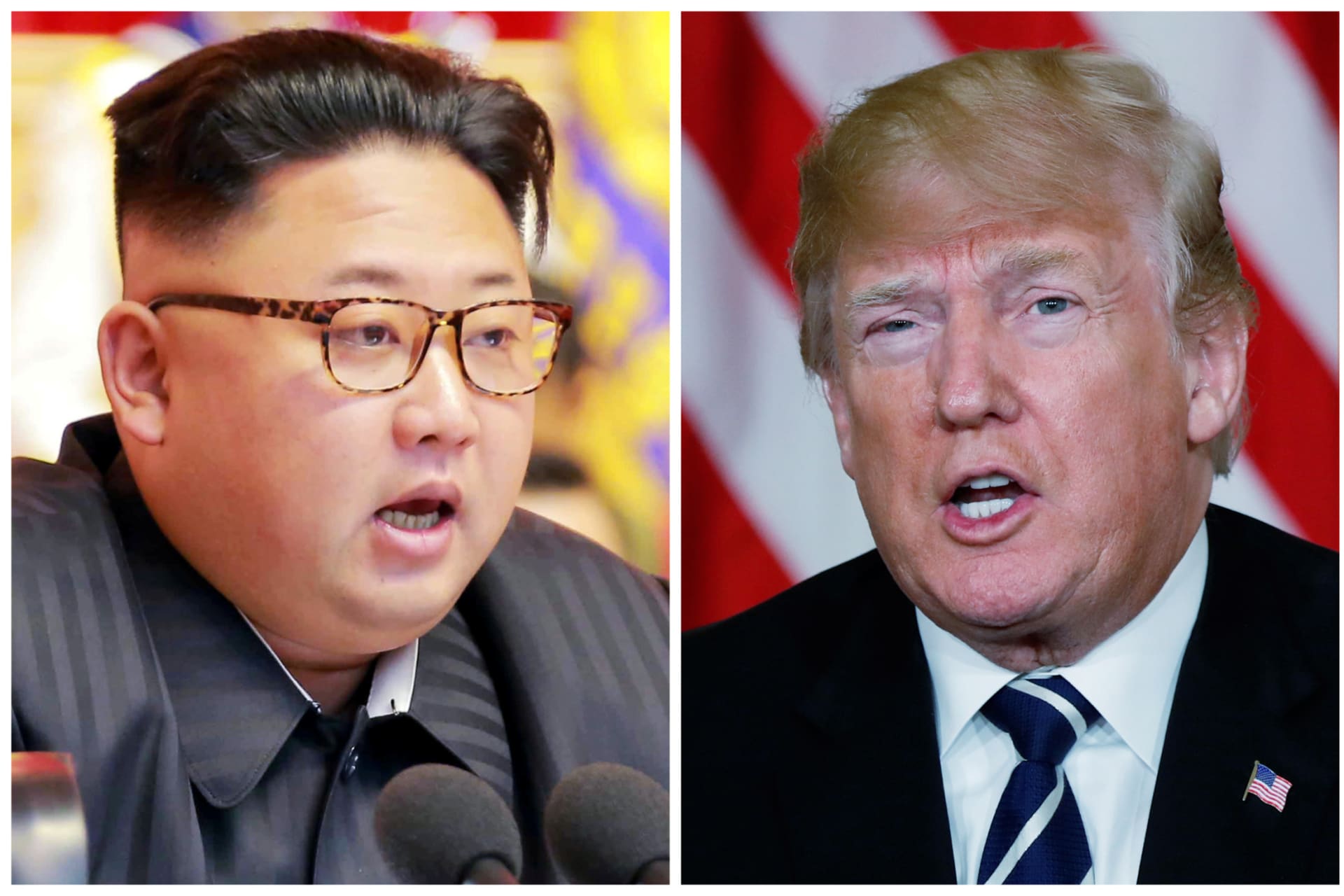 Trump and Kim Portraits