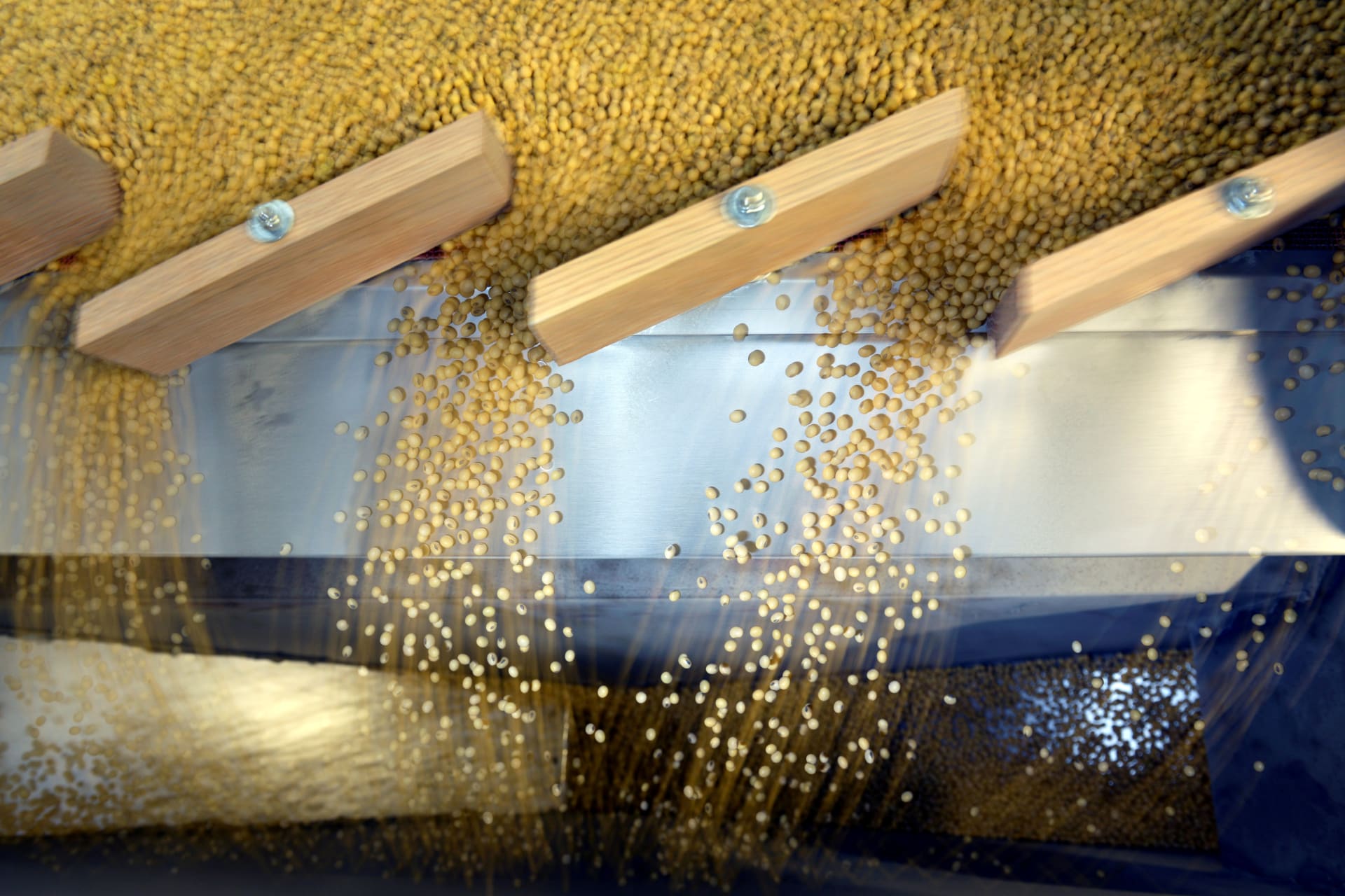 <p>Soybeans being sorted according to their weight and density on a gravity sorter machine at Peterson Farms Seed facility in Fargo, North Dakota, U.S., December 6, 2017.</p>
