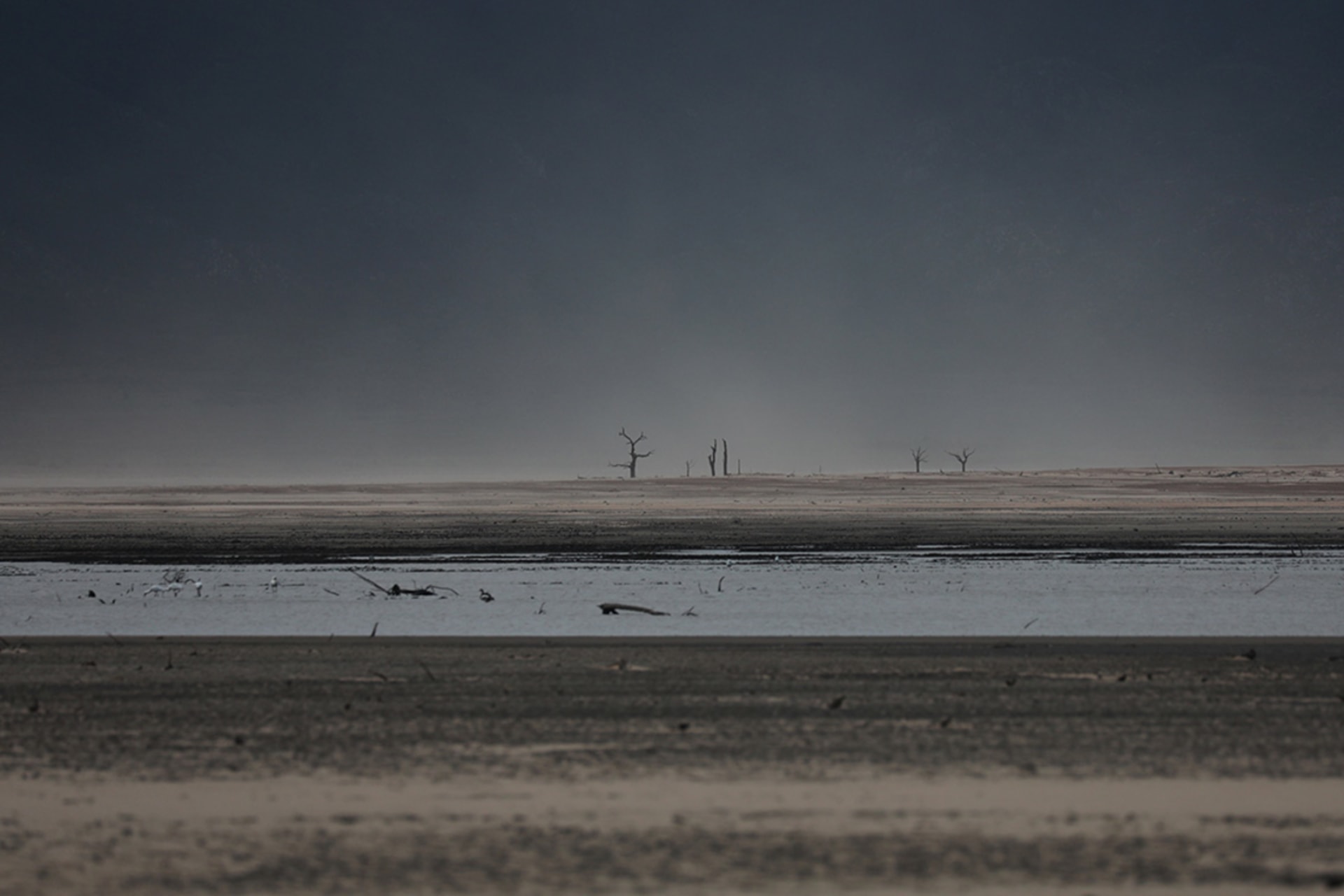 <p>Sand blows across a normally submerged area at Theewaterskloof dam near Cape Town.</p>
