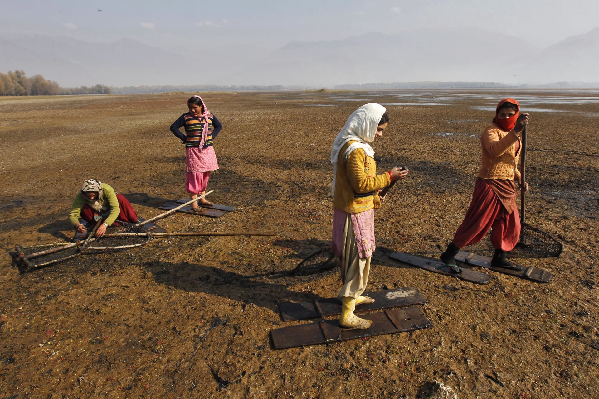 <p>Women walk over marshy land to collect water chestnuts from the waters of Wular Lake at Bandipora, about 65 km (40 miles) north of Srinagar, India, November 5, 2012</p>
