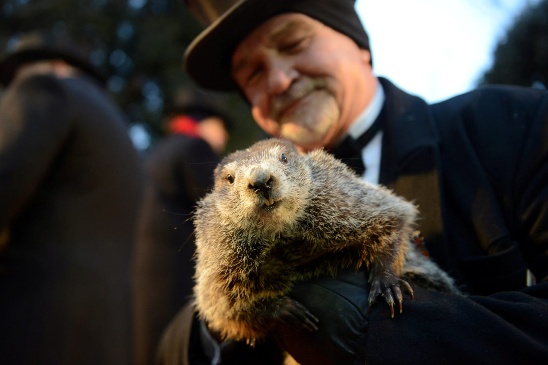 <p>Co-handler John Griffiths holds Punxsutawney Phil for the crowd gathered at Gobbler’s Knob on the 132nd Groundhog Day in Punxsutawney, Pennsylvania on February 2, 2018</p>
