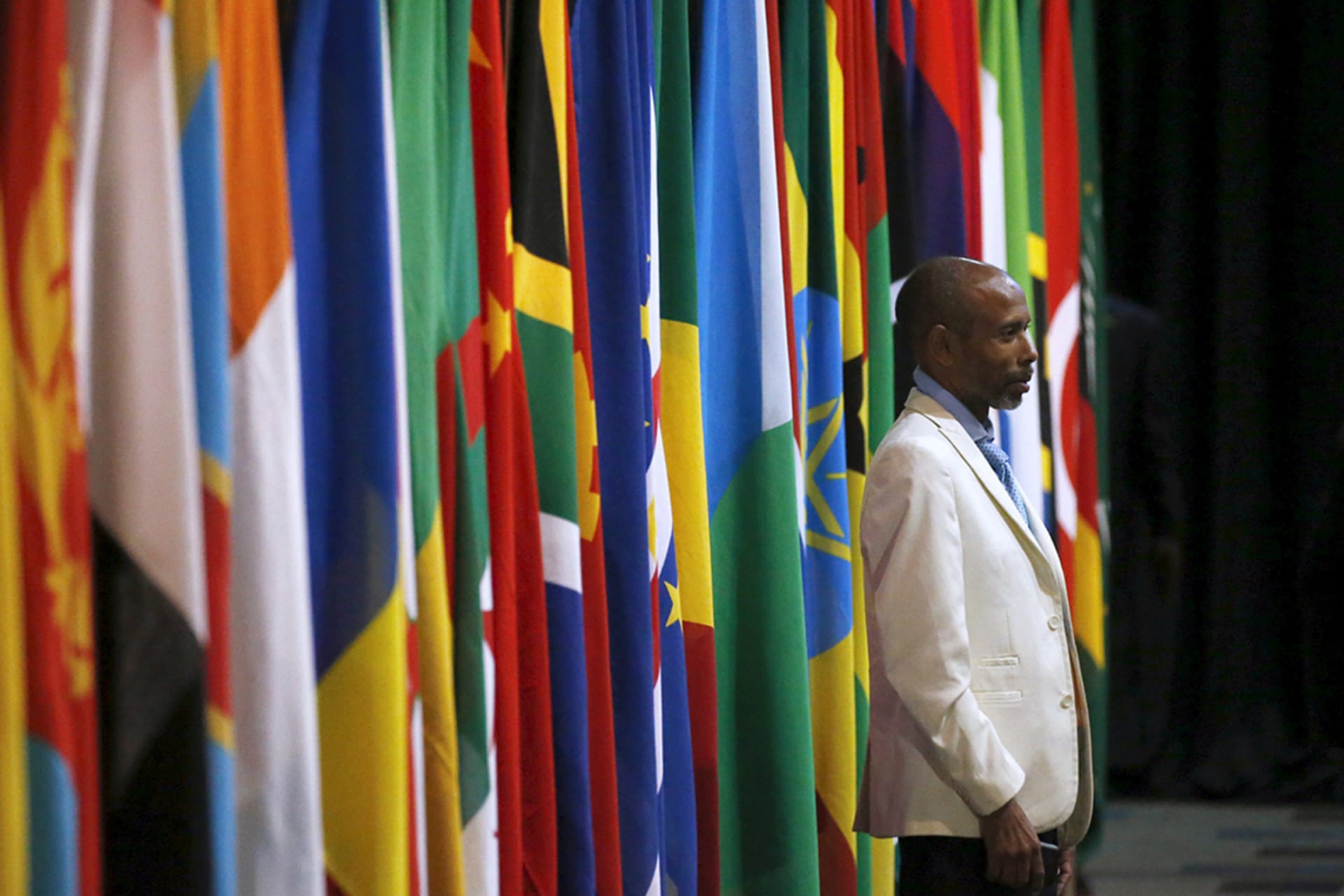 <p>A visitor stands in front of flags representing different African countries during a Forum on China-Africa Cooperation in Johannesburg, December 4, 2015.</p>