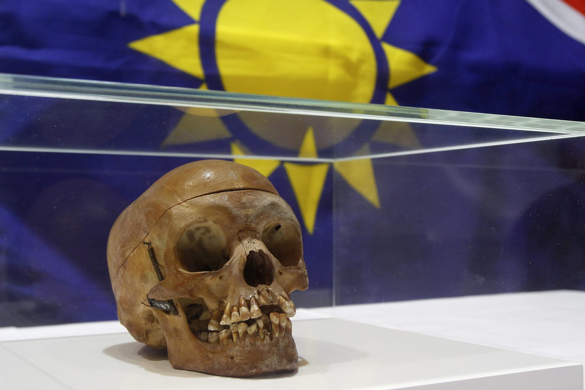<p>A skull from the Herero and ethnic Nama people displayed during a ceremony at Berlin’s Charite hospital September 30, 2011. The skull is one of twenty taken from victims who died at the hands of German colonial forces in Namibia between 1904 and 1908.</p>
