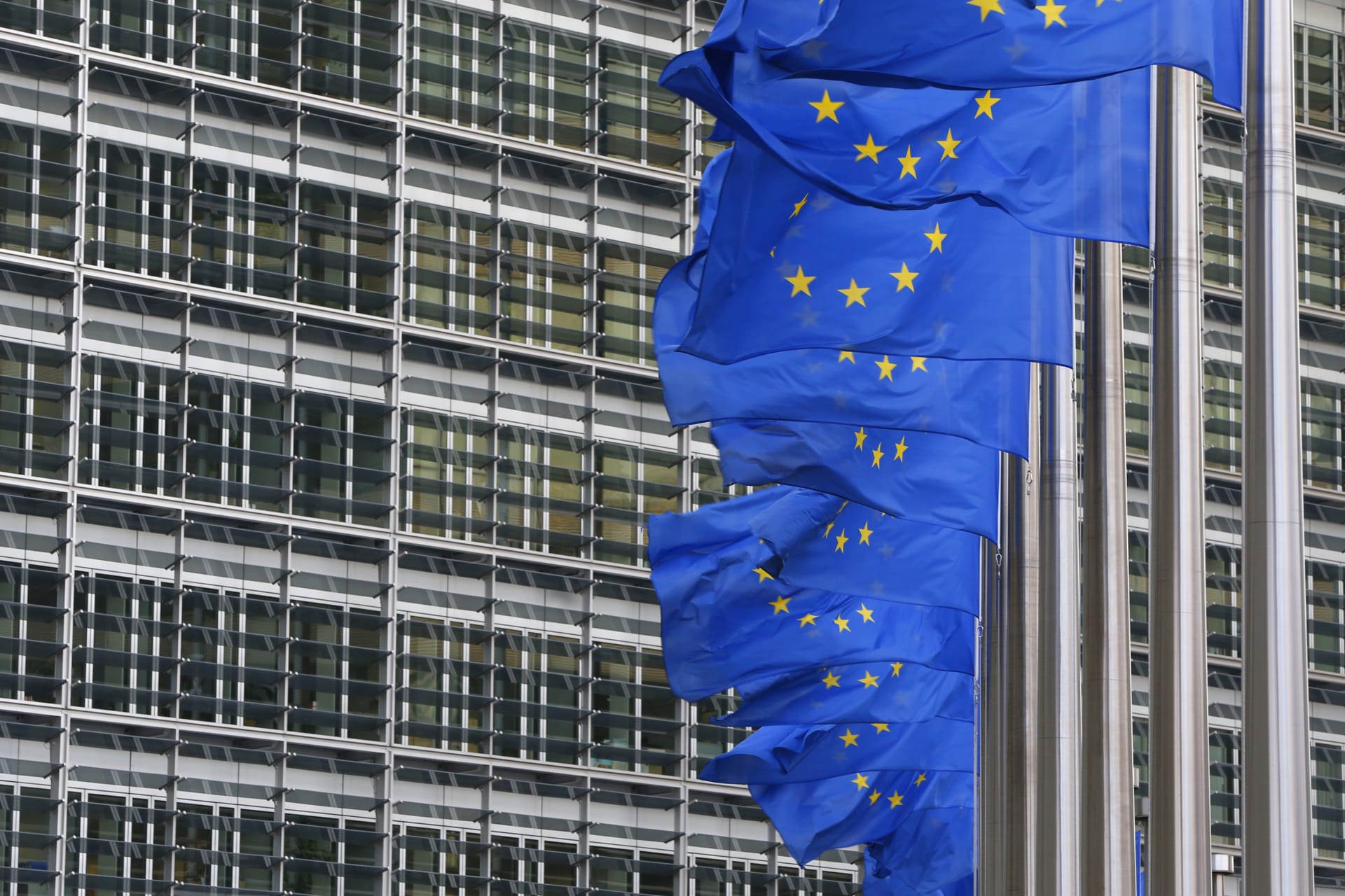 <p>European flags are hung outside the European Commission headquarters in Brussels January 22, 2014. </p>
