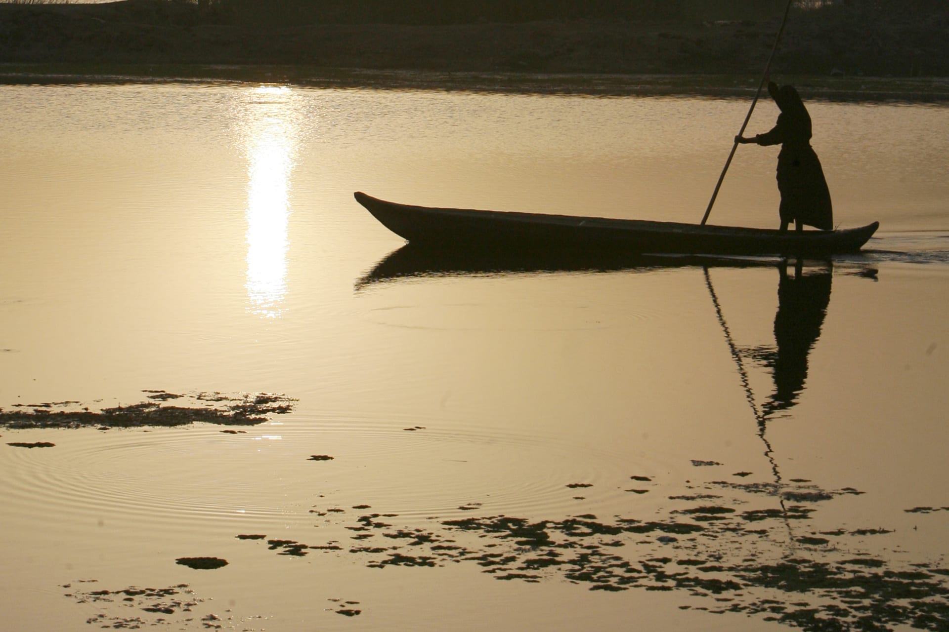 <p>A woman paddles her boat during sunrise at Hammar marsh in Nassiriya, 300 km (185 miles) southeast of Baghdad (Thaier al-Sudani/Reuters).</p>
