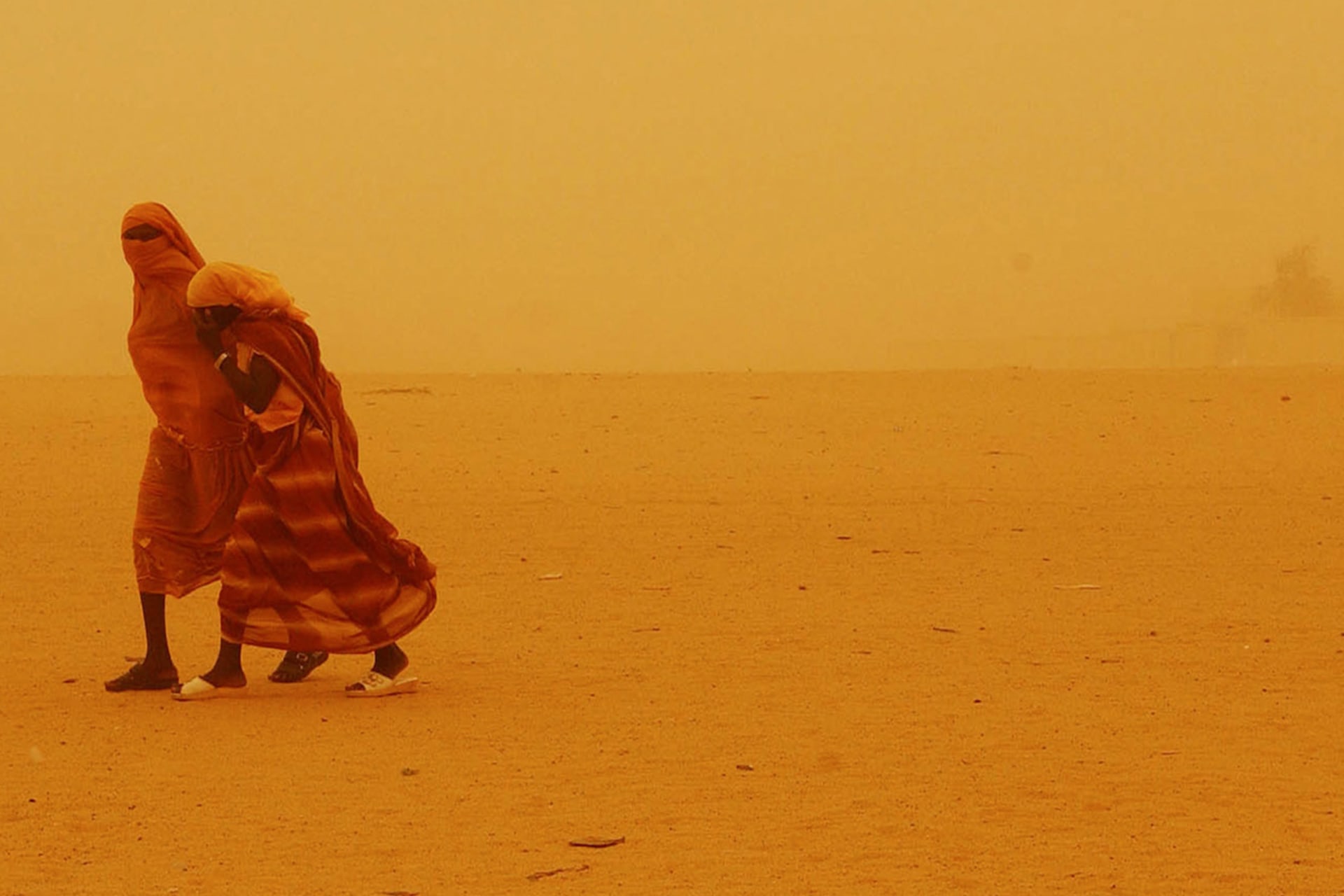 Crisis Guide: Darfur