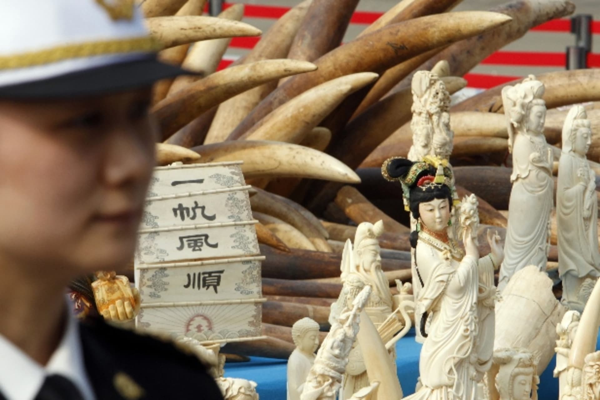 <p>china-ivory-ban</p>
