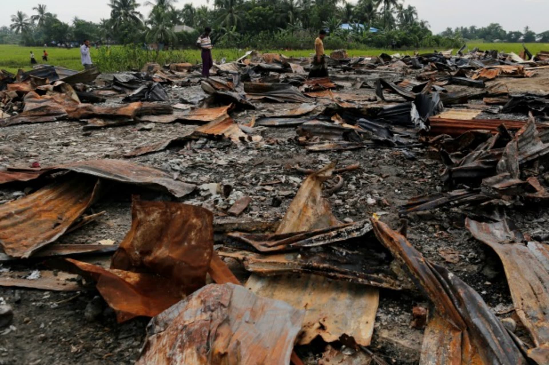 <p>rakhine-rohingya</p>

