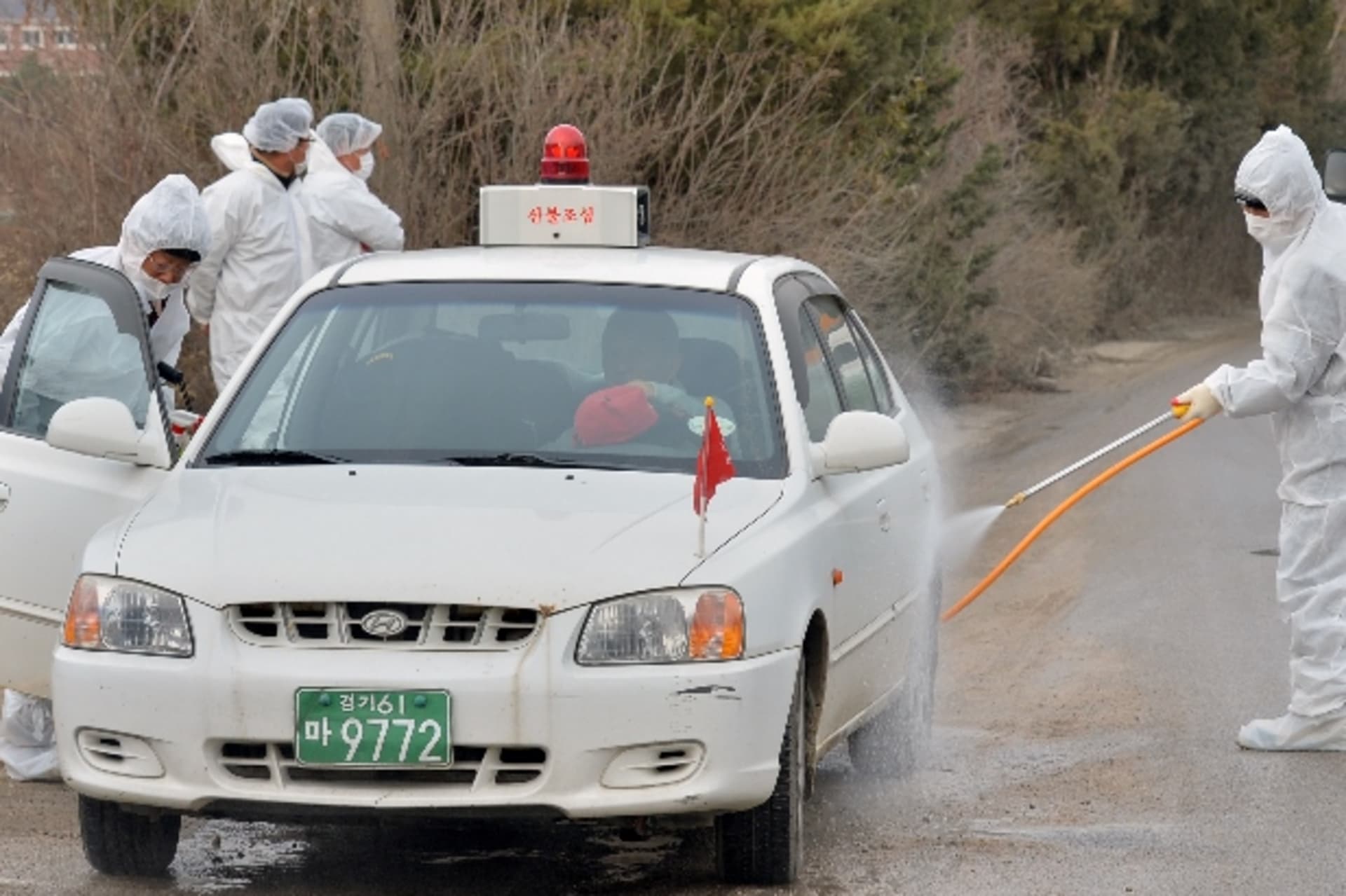 <p>bird-flu-south-korea</p>
